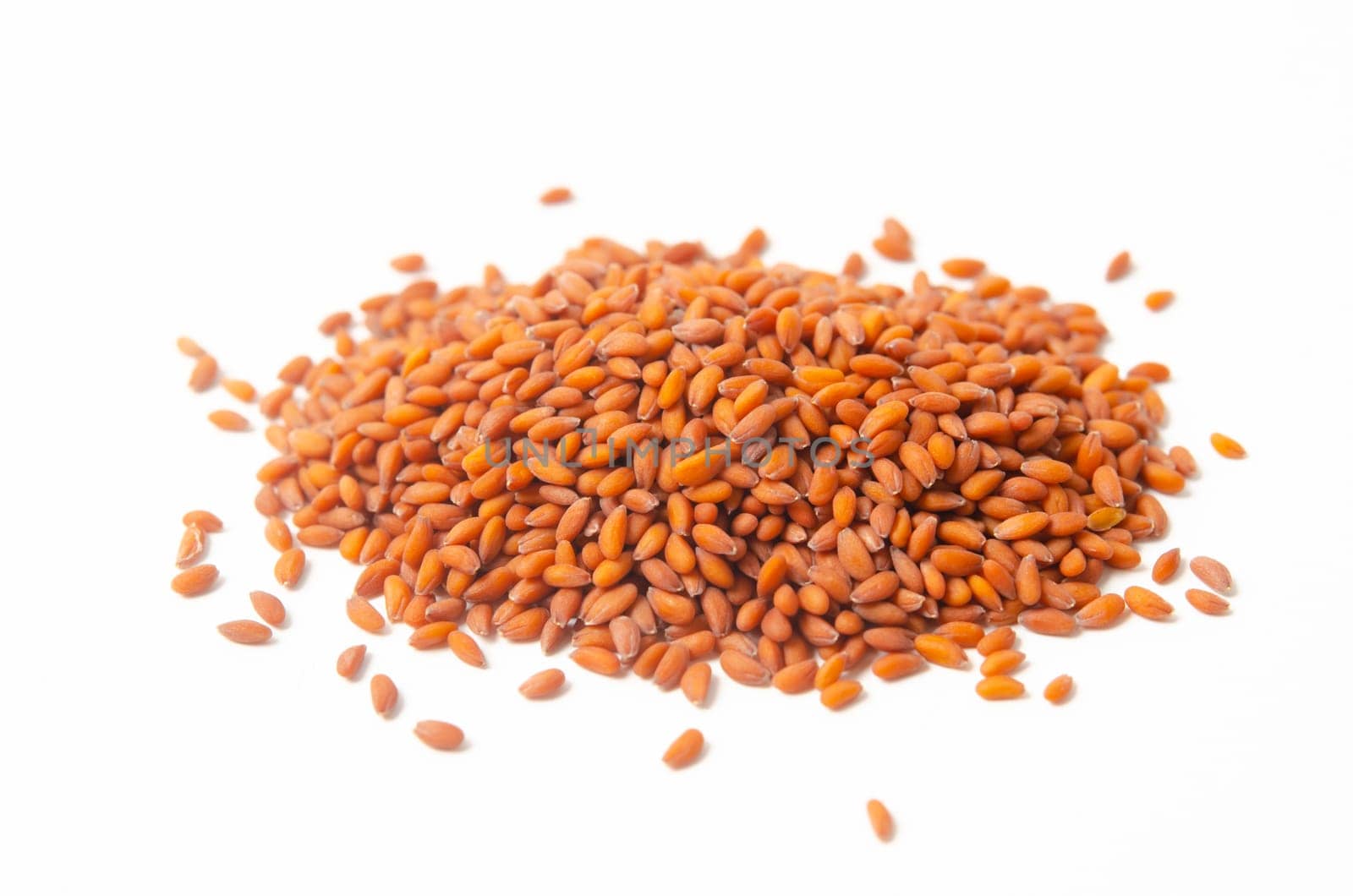 Garden Cress Seeds natural herbal food Ingredient