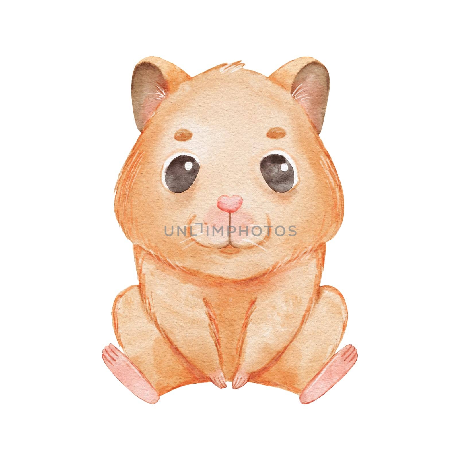 Cute cartoon hamster isolated on white. Watercolor pet is sitting. Childish funny character by ElenaPlatova