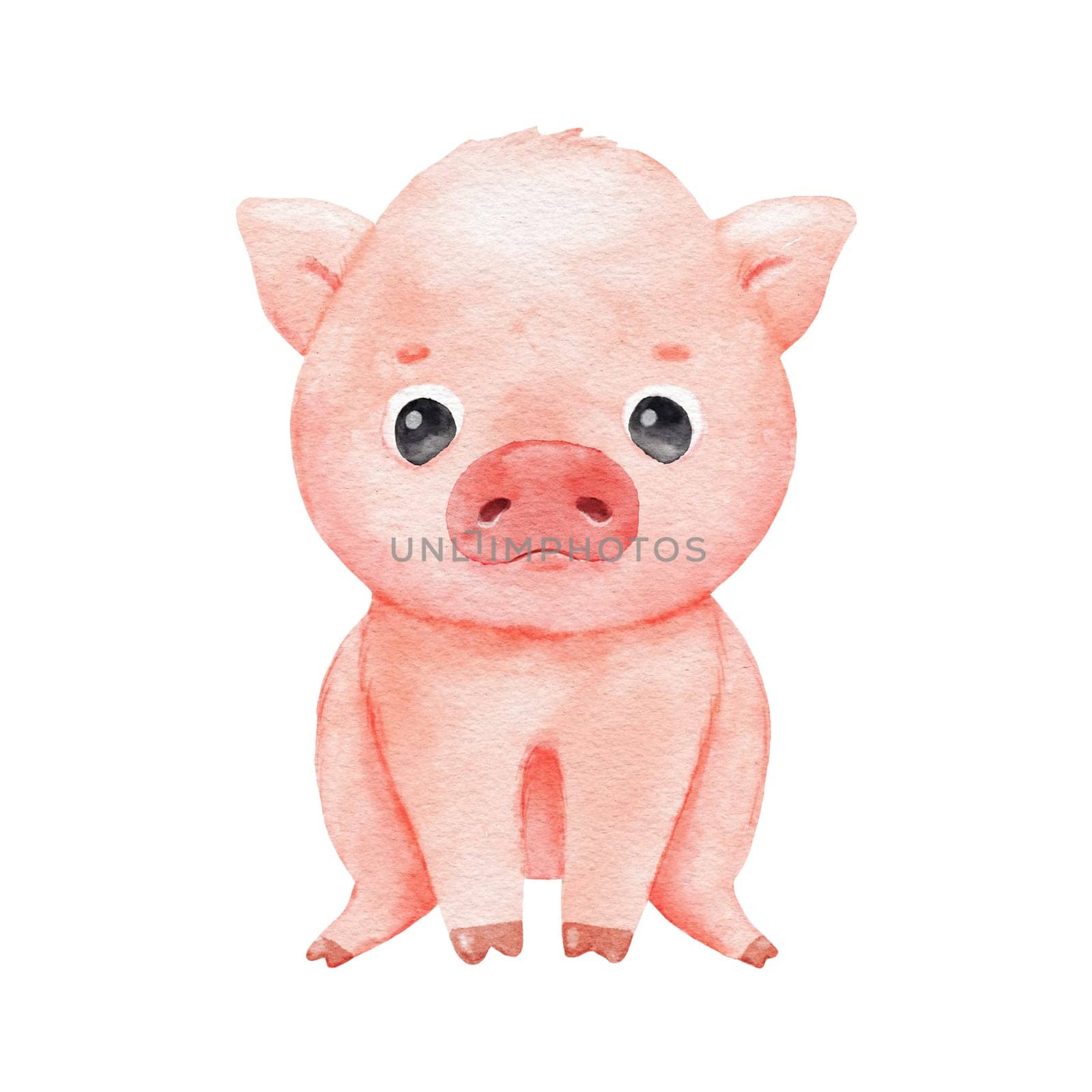 Cute cartoon piglet isolated on white. Watercolor farm animal is sitting. Childish funny character by ElenaPlatova