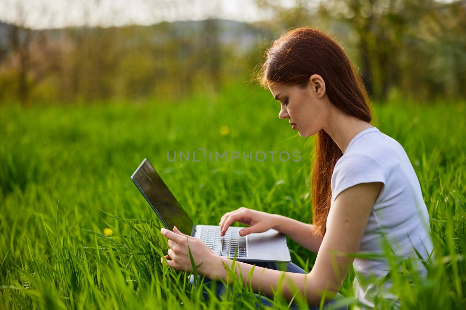 a woman in a light T-shirt sits in high green grass working at a laptop by Vichizh