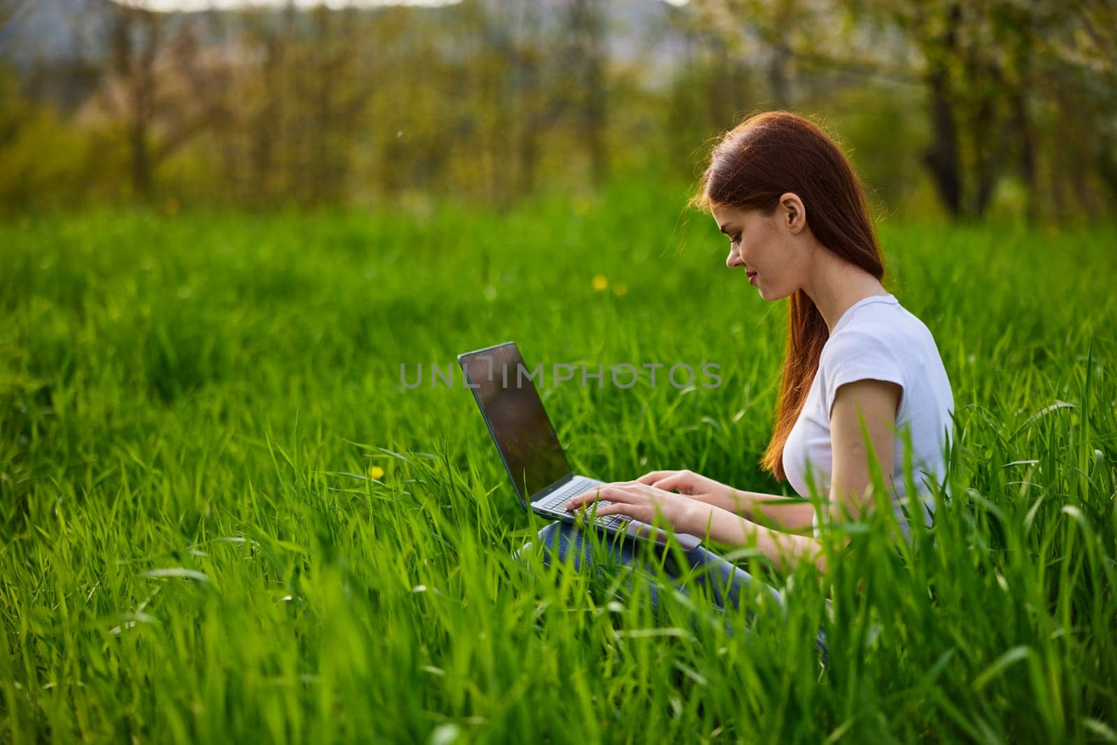 a woman works remotely at a laptop being outdoors in tall grass. High quality photo