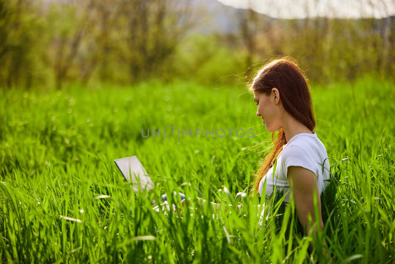 woman on the meadow relaxing and using a laptop by Vichizh