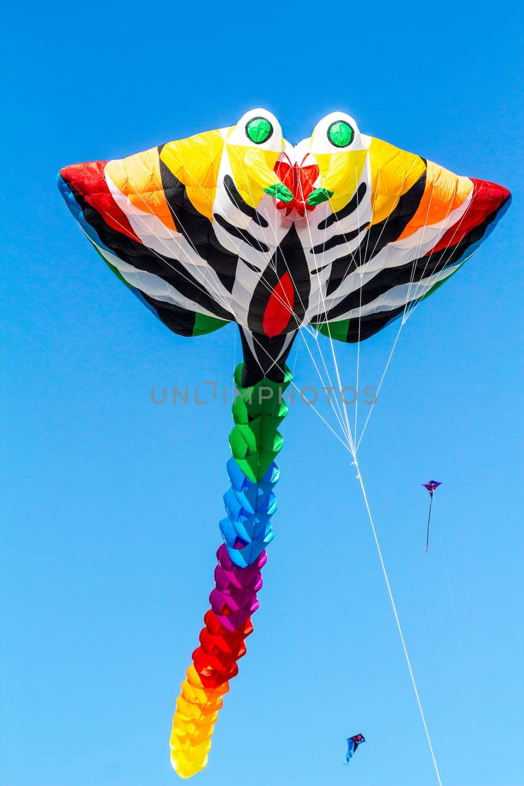 Blue sky with colorful kites in the shape of marine animal