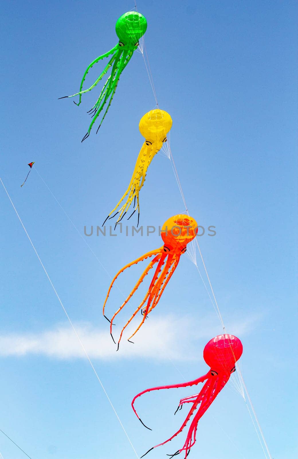 Blue sky with colorful kites in the shape of marine animal