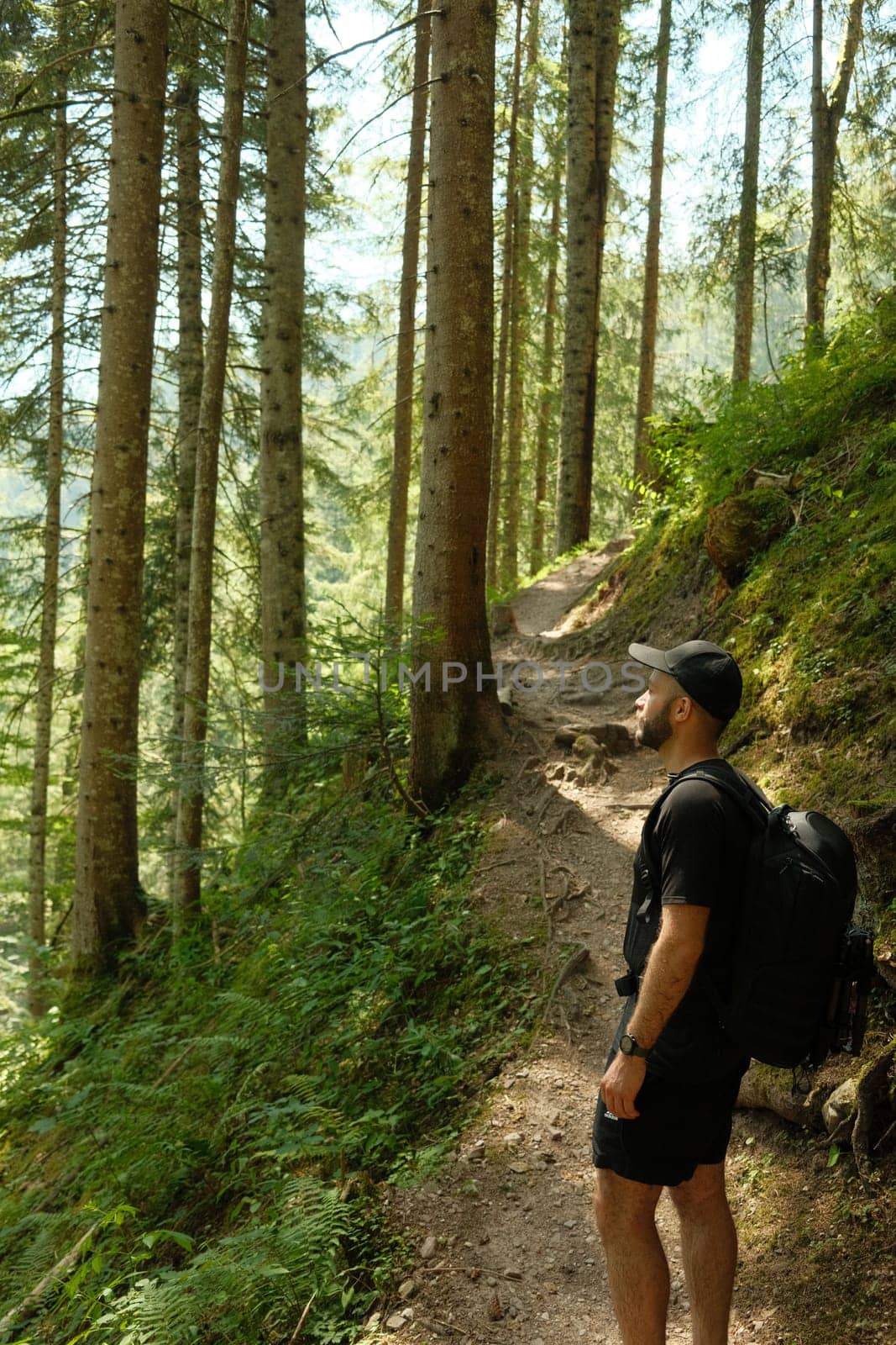 Hiker with cap and black outfit on forest path between trees by rherrmannde