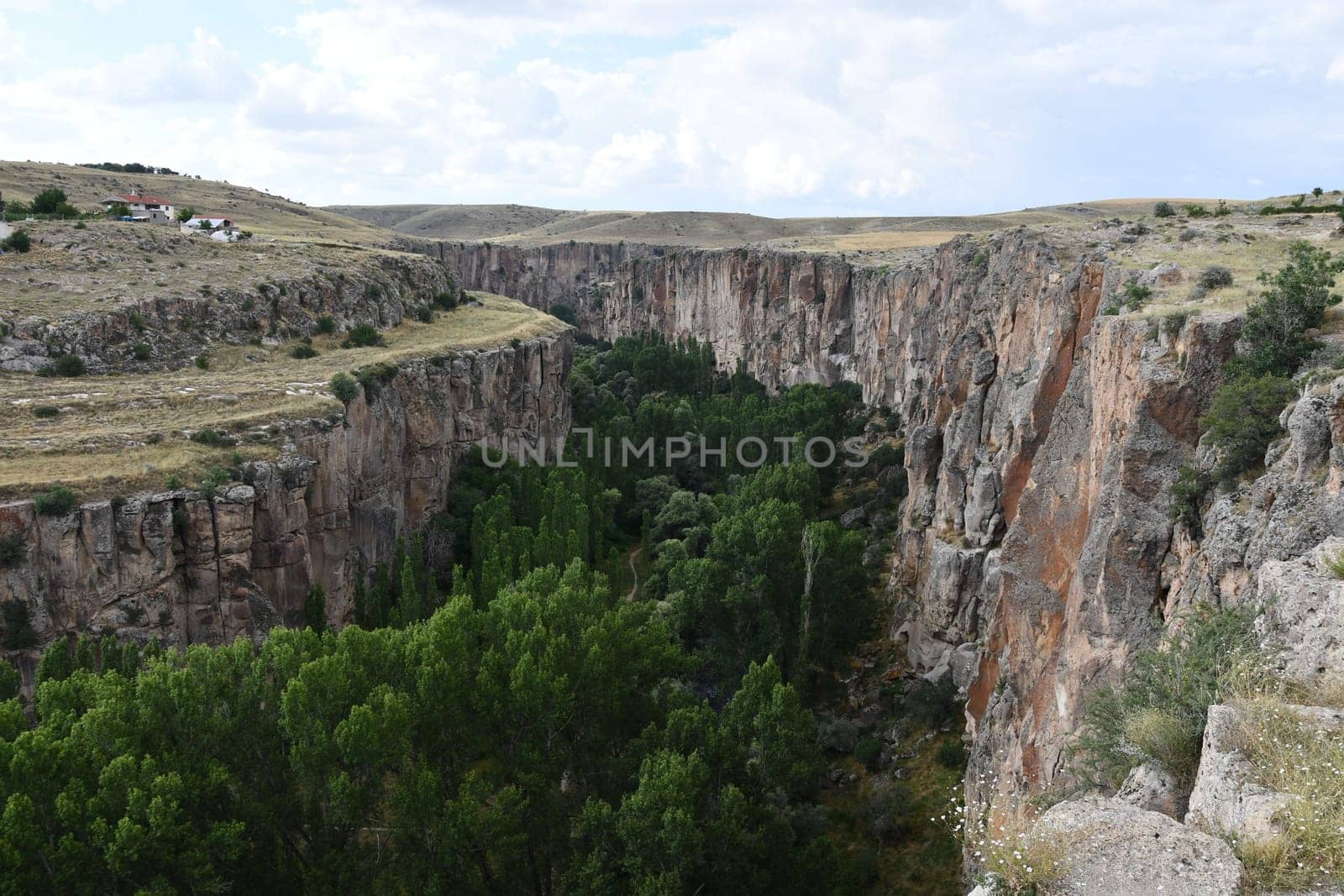 Aerial view of beautiful rocks near the forest in Aksaray, Central Anatolia, Turkey