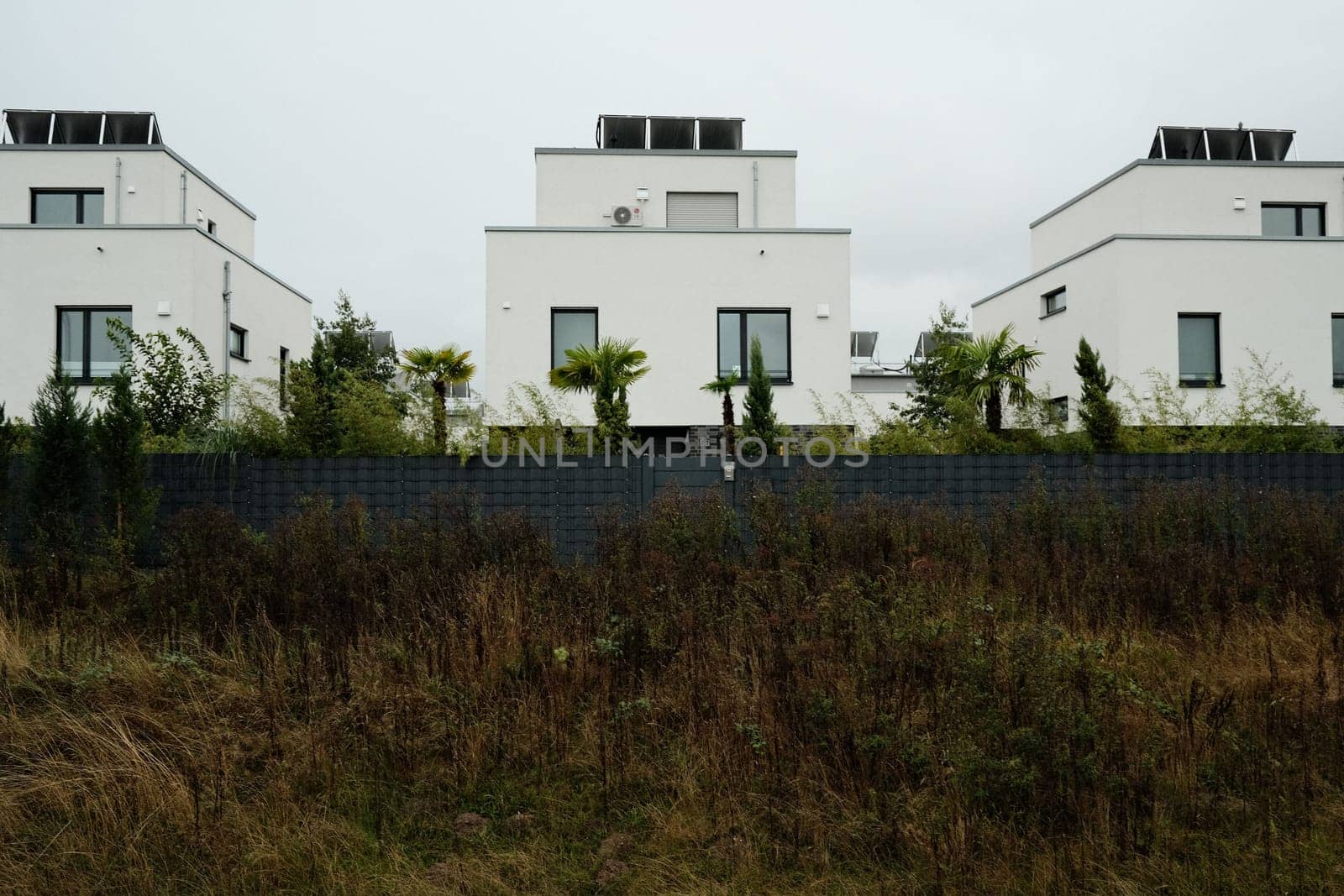 Beautiful view of modern residential houses with palm trees in front in Germany