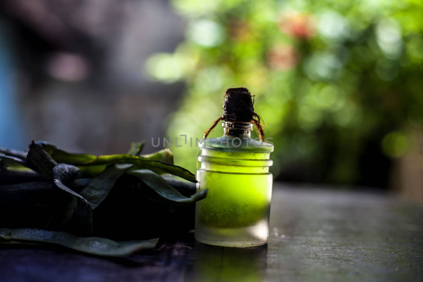 Shot of fresh raw sponge gourd or luffa herb oil in a glass container on a wooden surface.