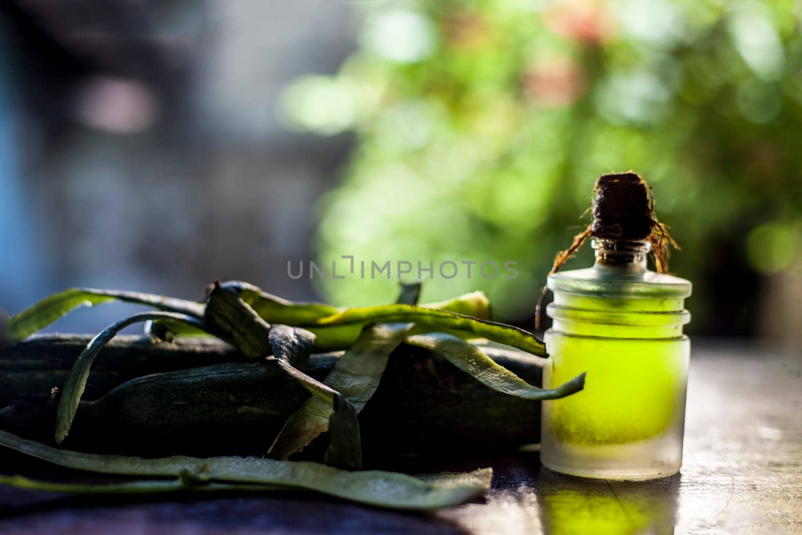 Shot of fresh raw sponge gourd or luffa herb oil in a glass container on a wooden surface.