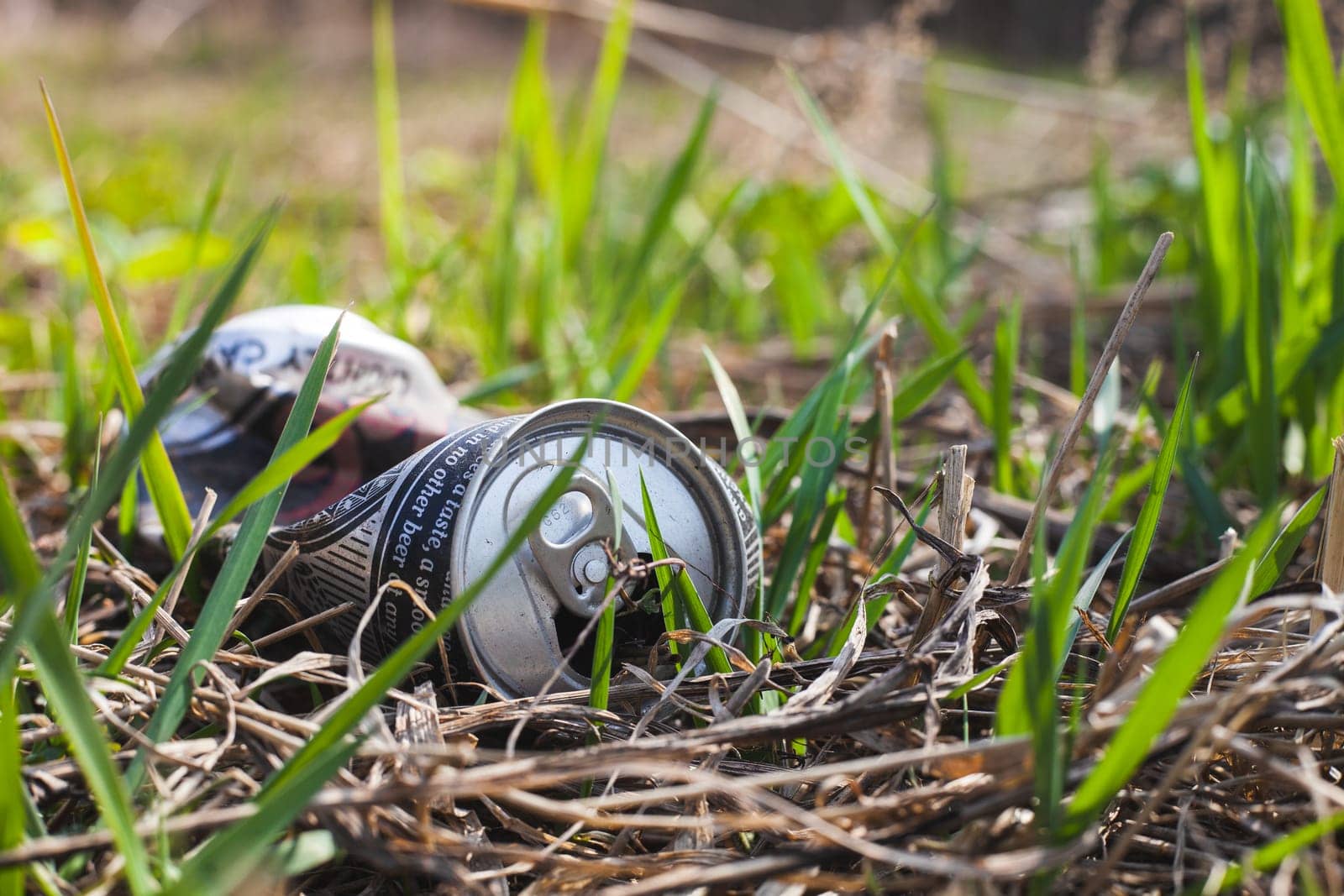 world nature pollution battle grass in the forest