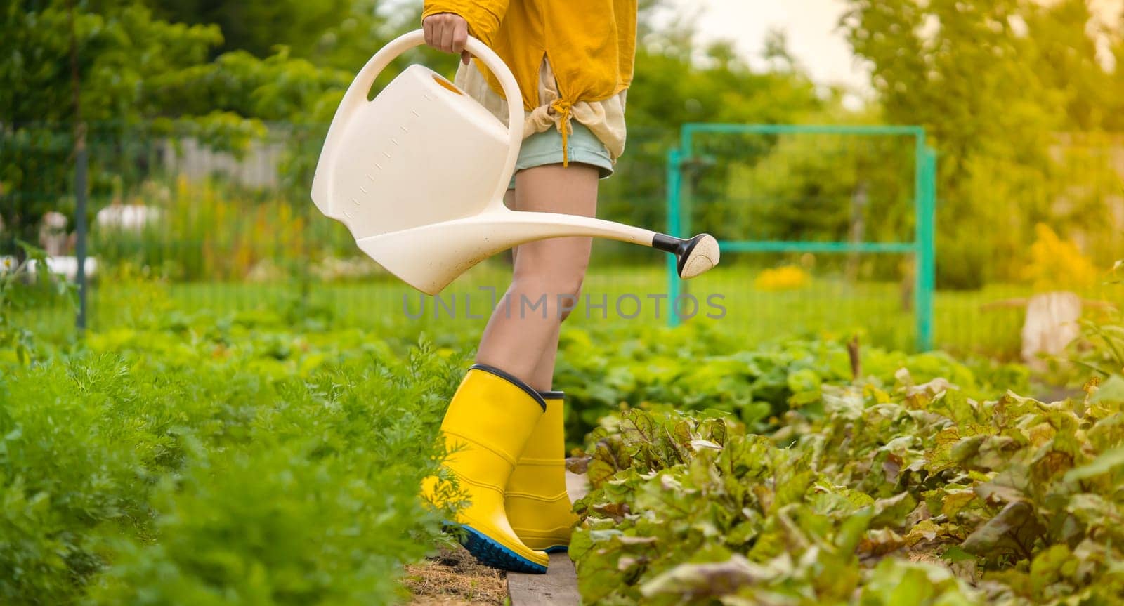 A young girl with gloves and rubber boots is going to water plants in her beautiful summer garden. A professional woman gardener with a watering can is irrigating her lawn and flowers.