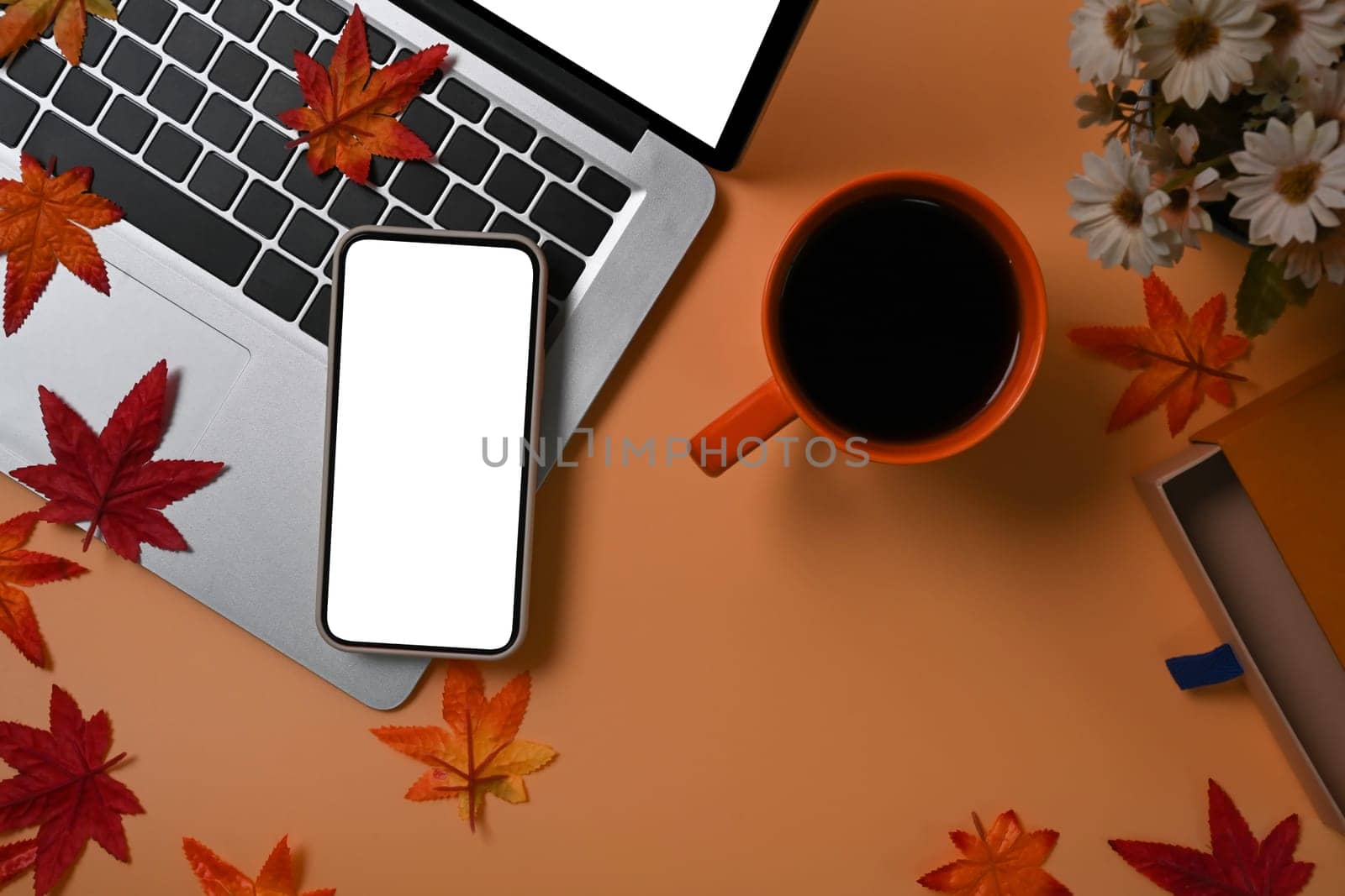 Mobile phone, laptop computer, coffee cup and maple leaf on brown background.