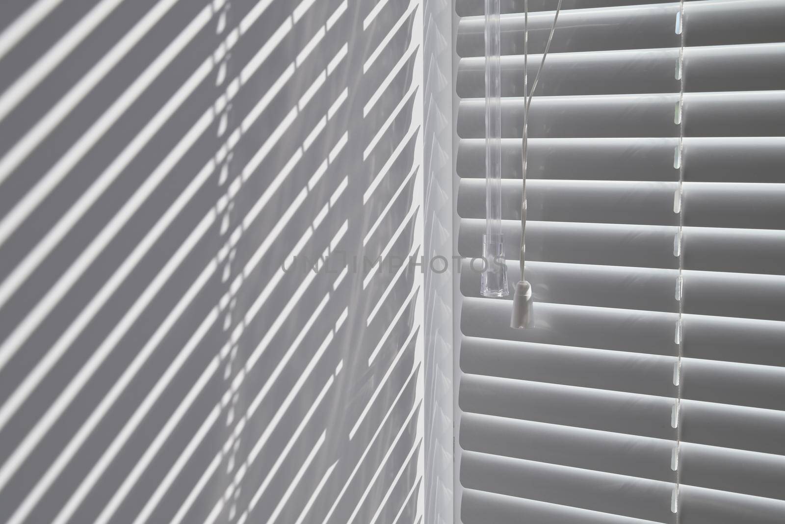 Silhouette of window blinds from sunlight texture background. Abstract blinds background interior image