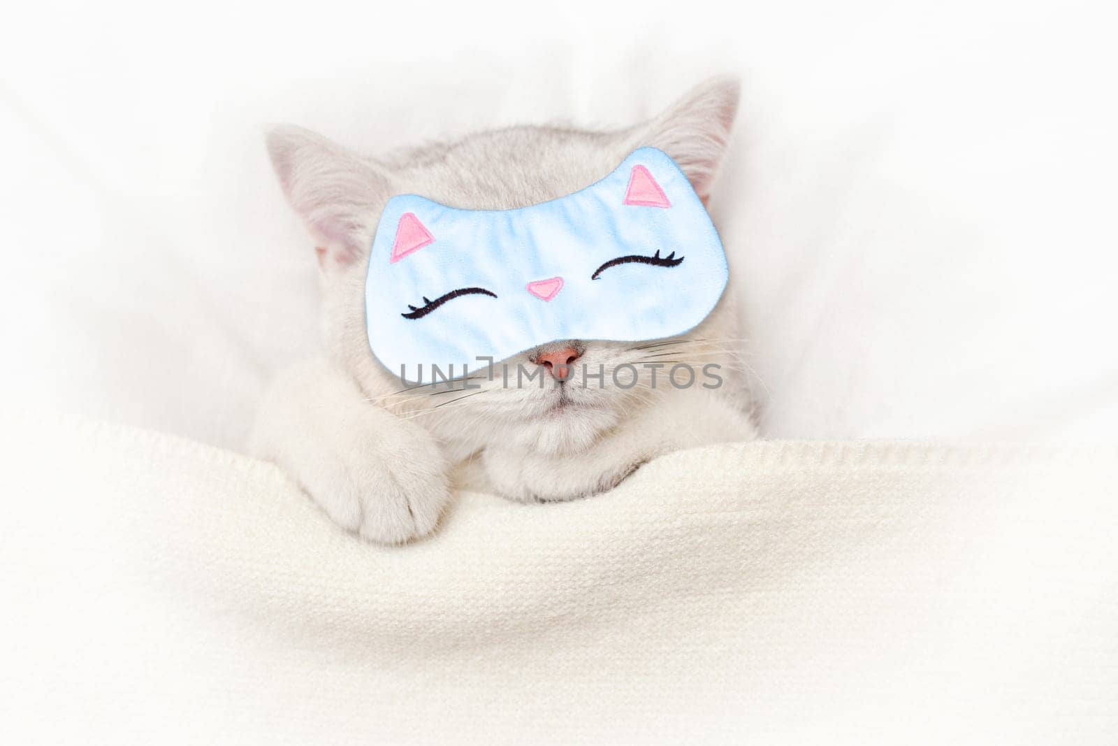 Cute white kitten sleeps in a blue sleep mask on a white bed. View from above. Copy space