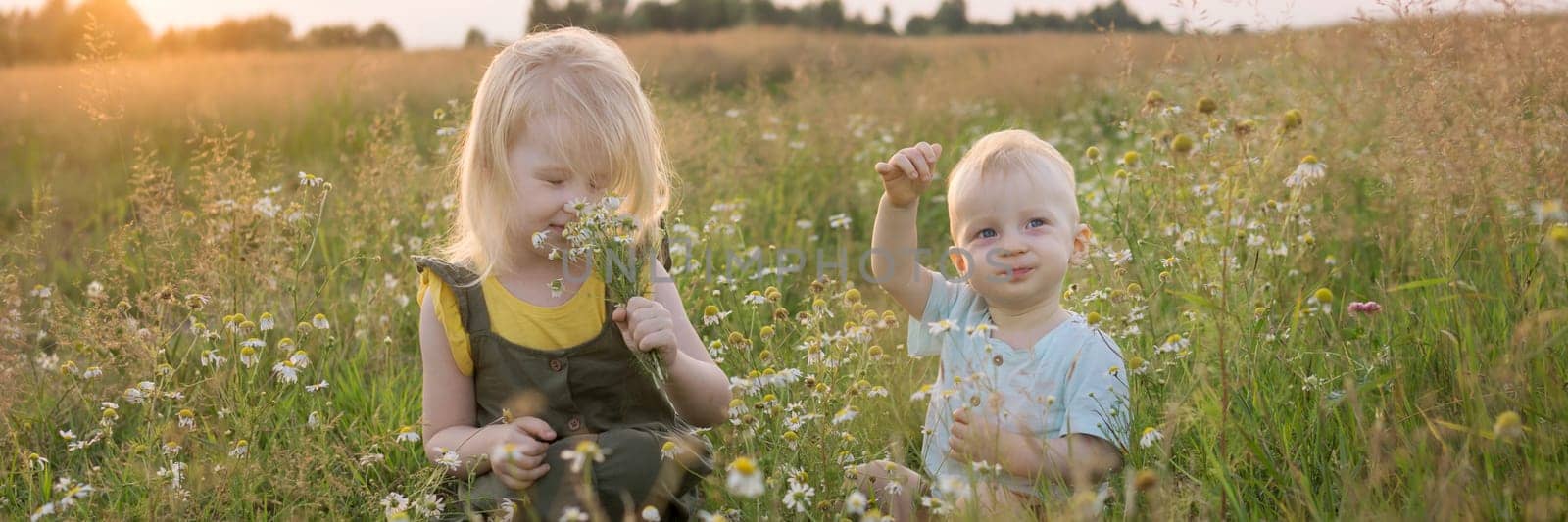A little boy and a girl are picking flowers in a chamomile field. The concept of walking in nature, freedom and a healthy lifestyle by Annu1tochka