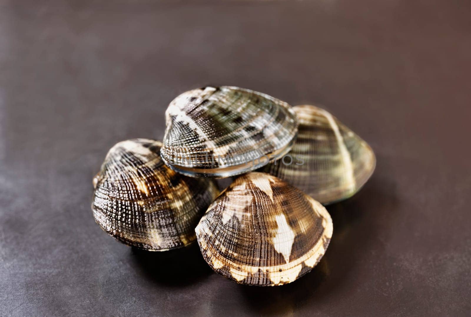  Uncooked fresh clams on black background  ,edible  bivalve mollusc , 