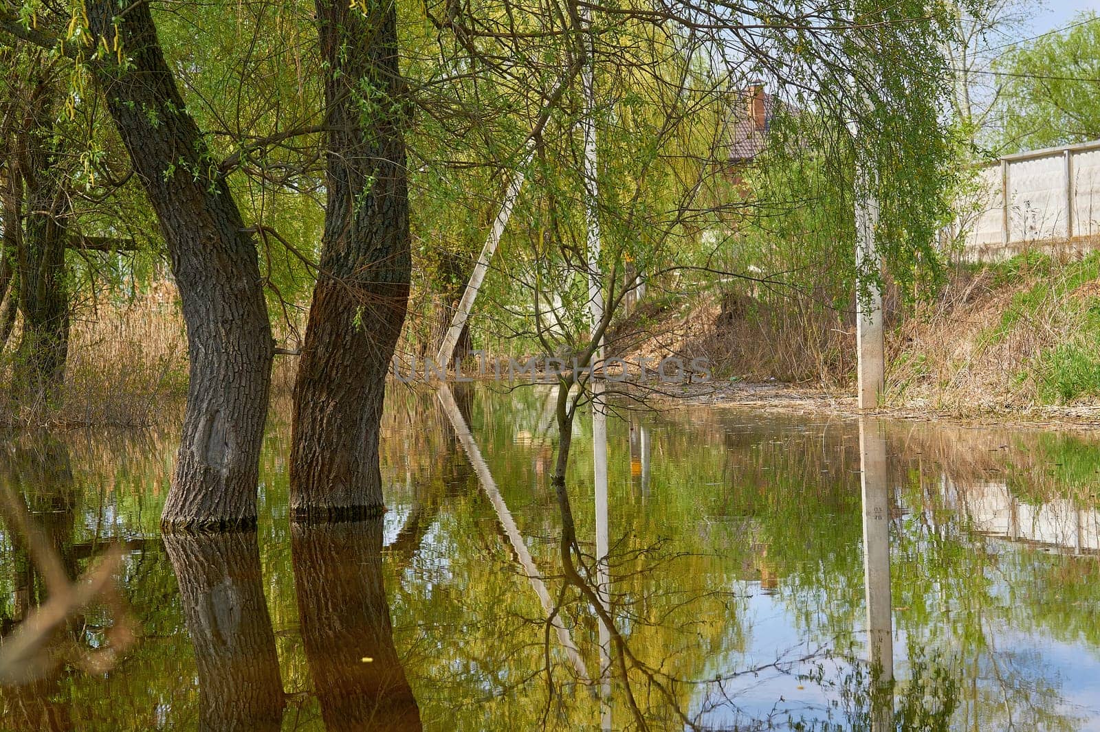 an overflowing of a large amount of water beyond its normal confines, especially over what is normally dry land.