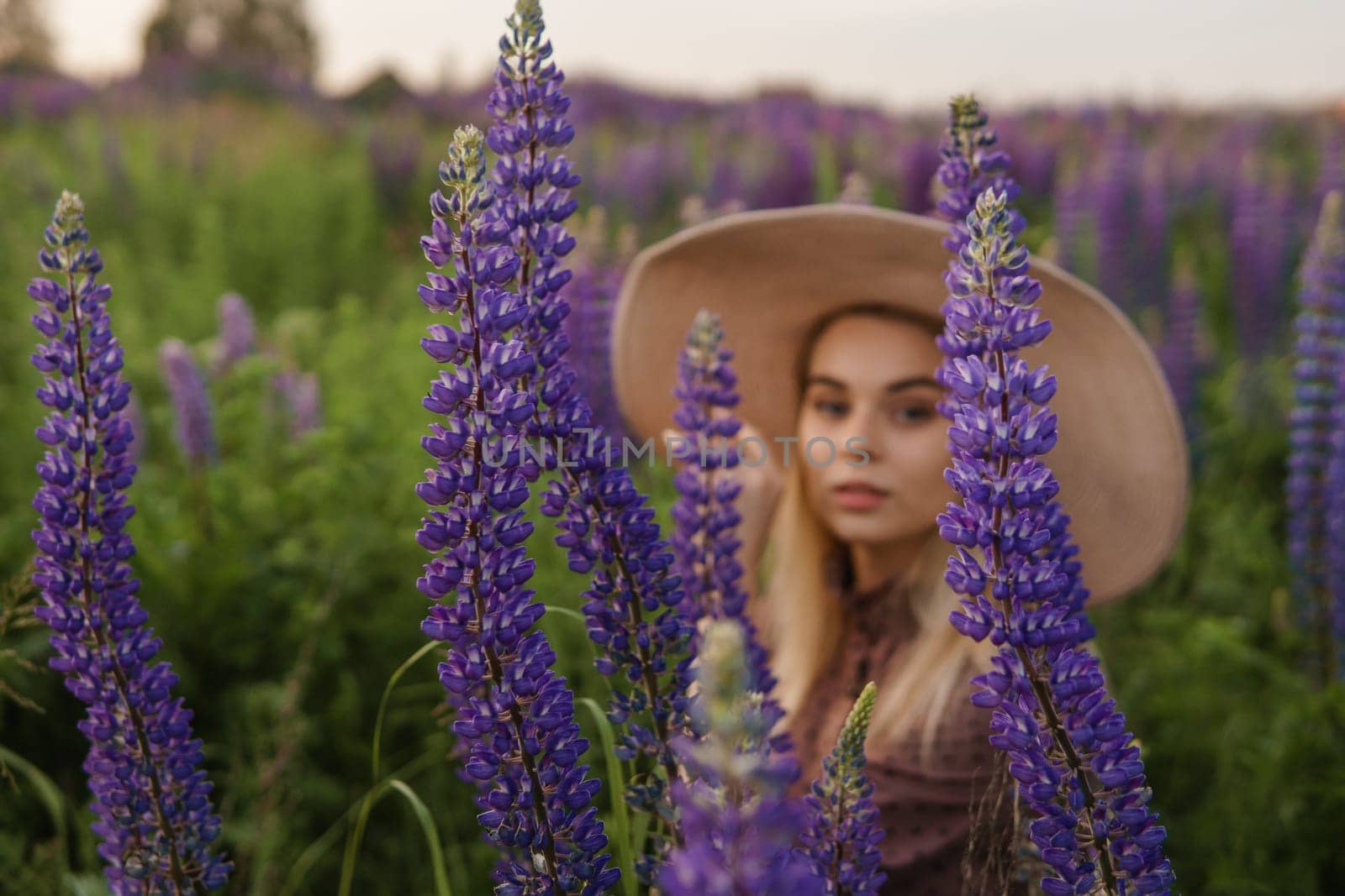 A beautiful woman in a straw hat walks in a field with purple flowers. A walk in nature in the lupin field by Annu1tochka