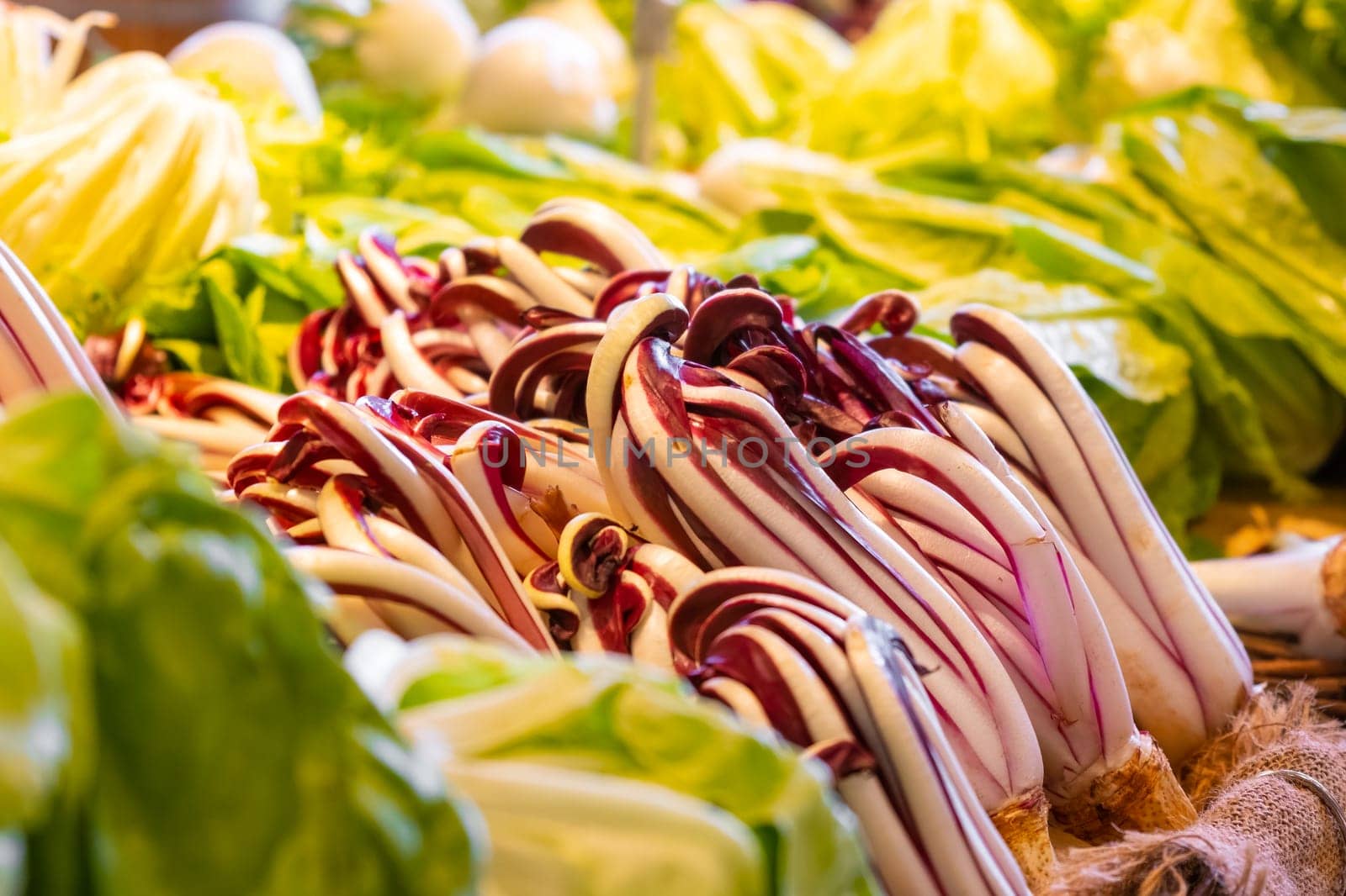 The vibrant and fresh salad available at the farmers market.