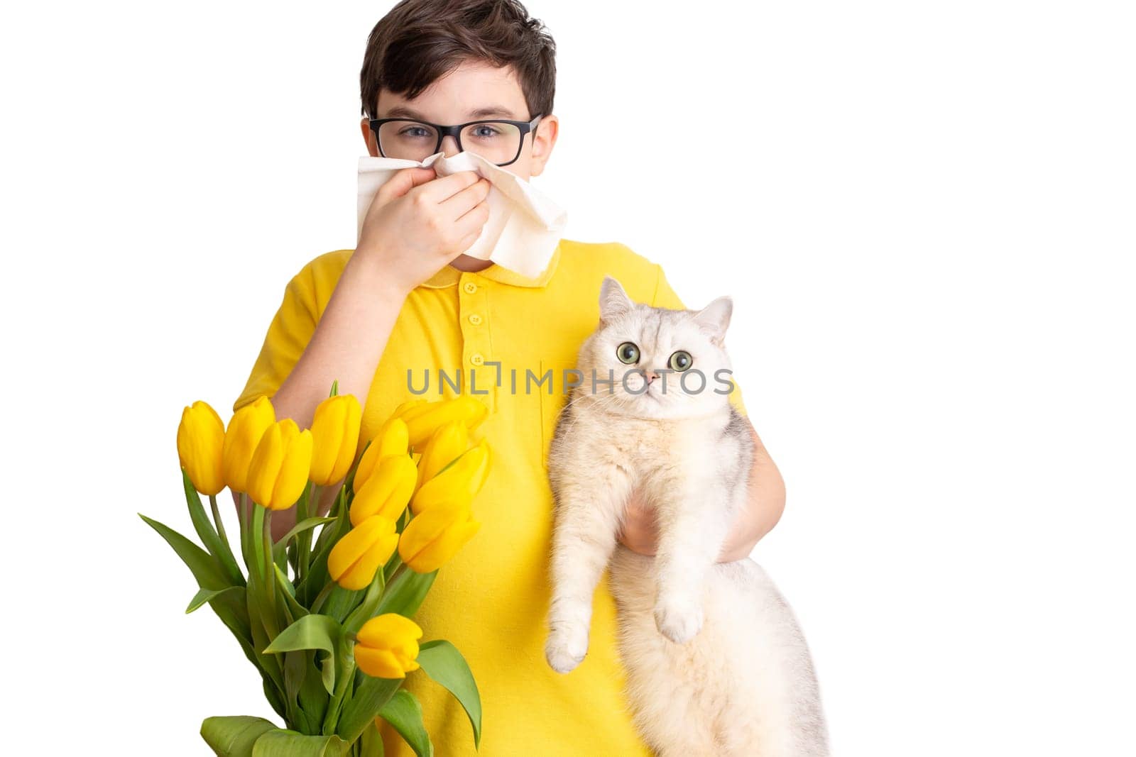 a boy with glasses, dressed in a yellow T-shirt, holds a white cat and covered his nose with a paper napkin and sneezes, look at camera, a bouquet of yellow tulips stands next to it, on a white background. To close up.