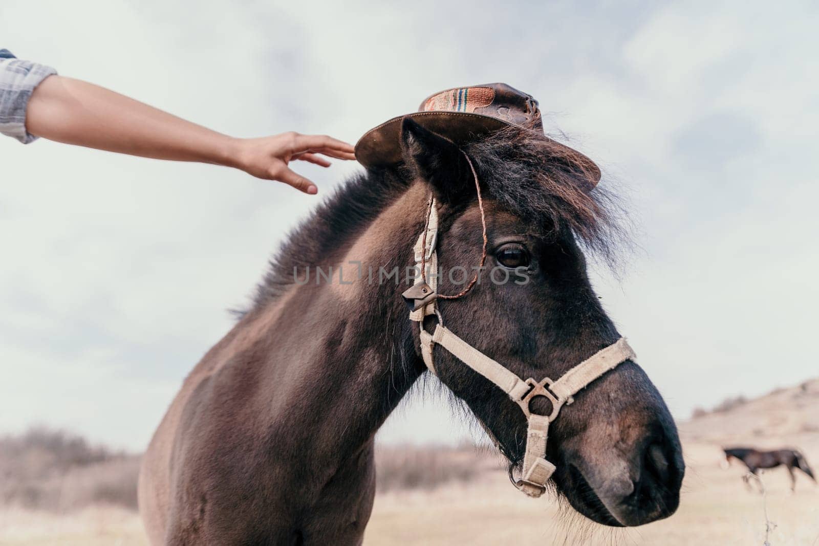 Cute happy young woman with horse. Rider female drives her horse in nature on evening sunset light background. Concept of outdoor riding, sports and recreation.