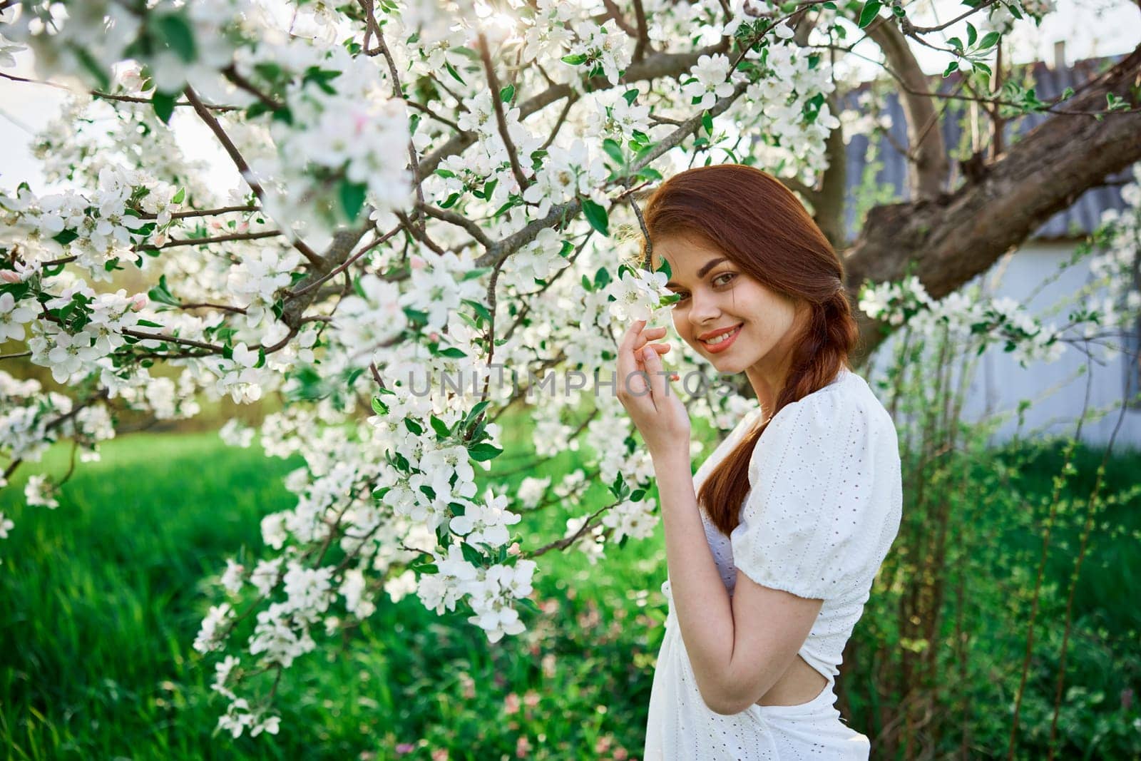 beautiful red-haired woman in a white dress smiling stands near a flowering tree. High quality photo