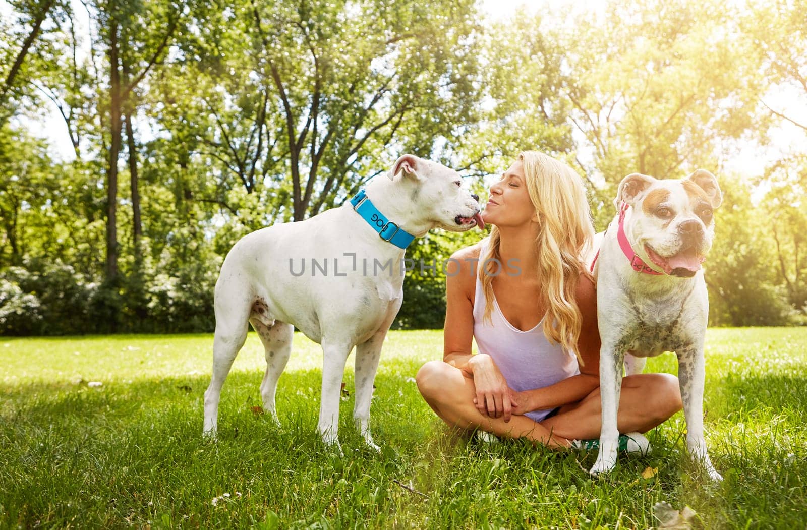 Dogs are social animals that thrive on companionship. a young woman with her two dogs at the park. by YuriArcurs