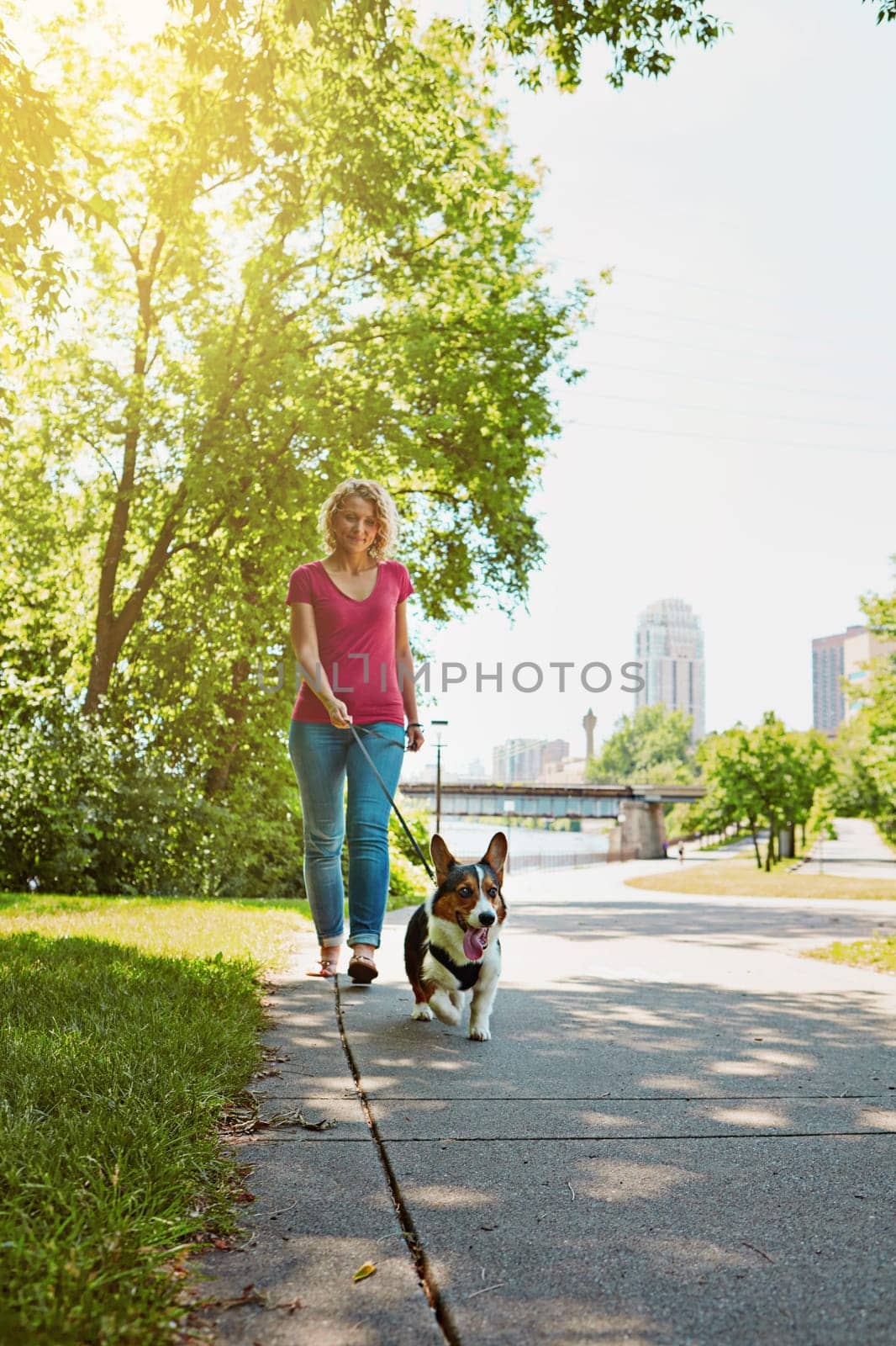 Dogs need their daily exercise too. an attractive young woman walking her dog in the park. by YuriArcurs