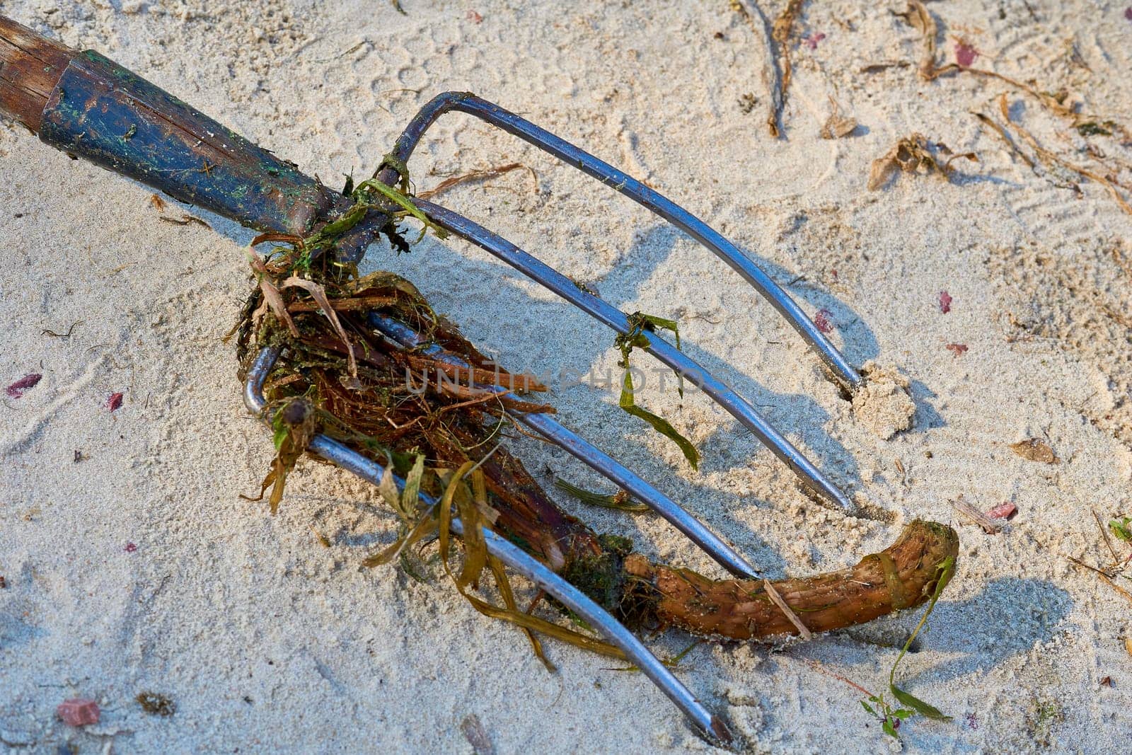 a farm tool with a long handle and sharp metal prongs, used especially for lifting hay