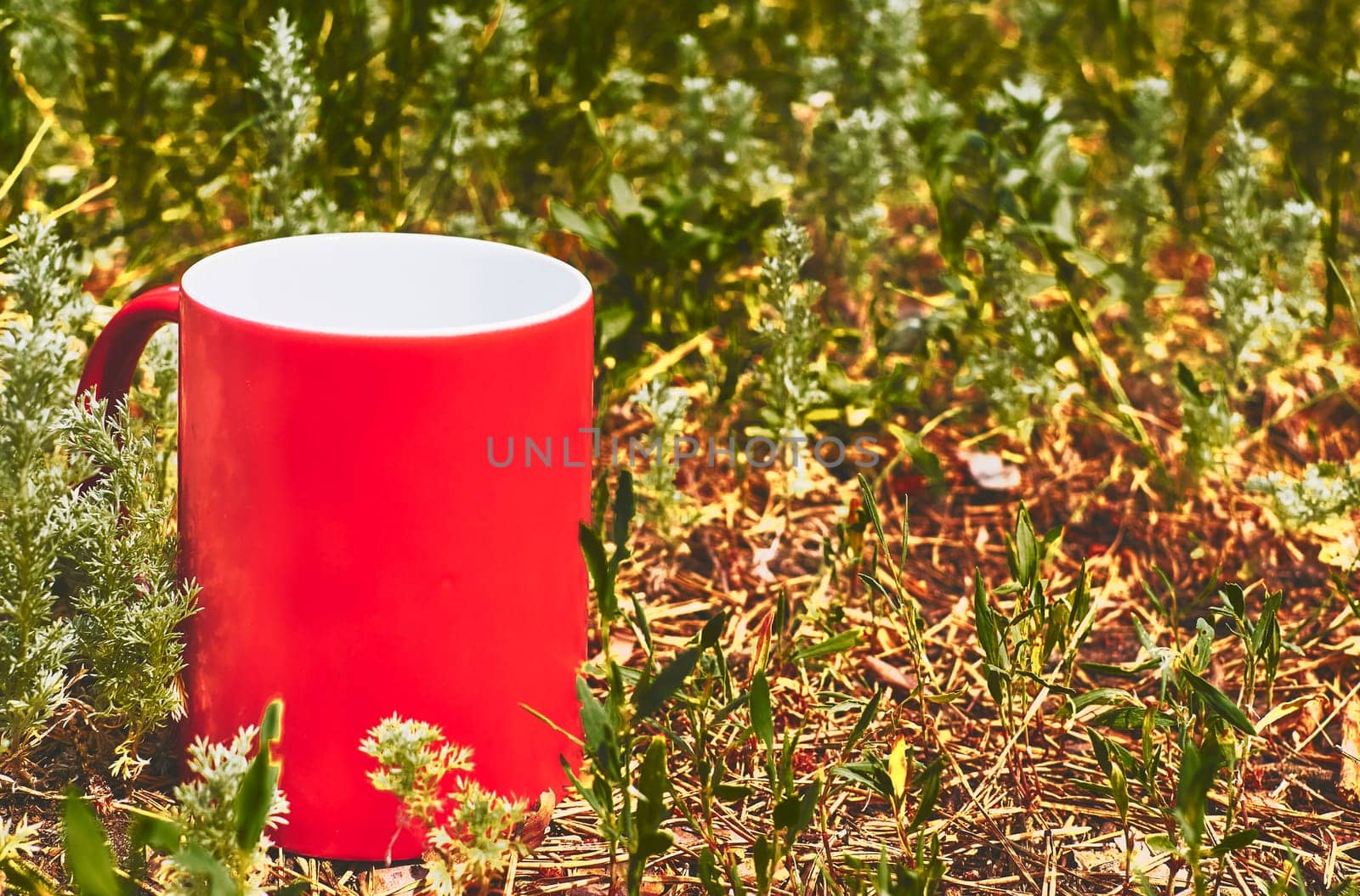 a small bowl shaped container for drinking from, typically having a handle. Red ceramic cup on green grass in the park.
