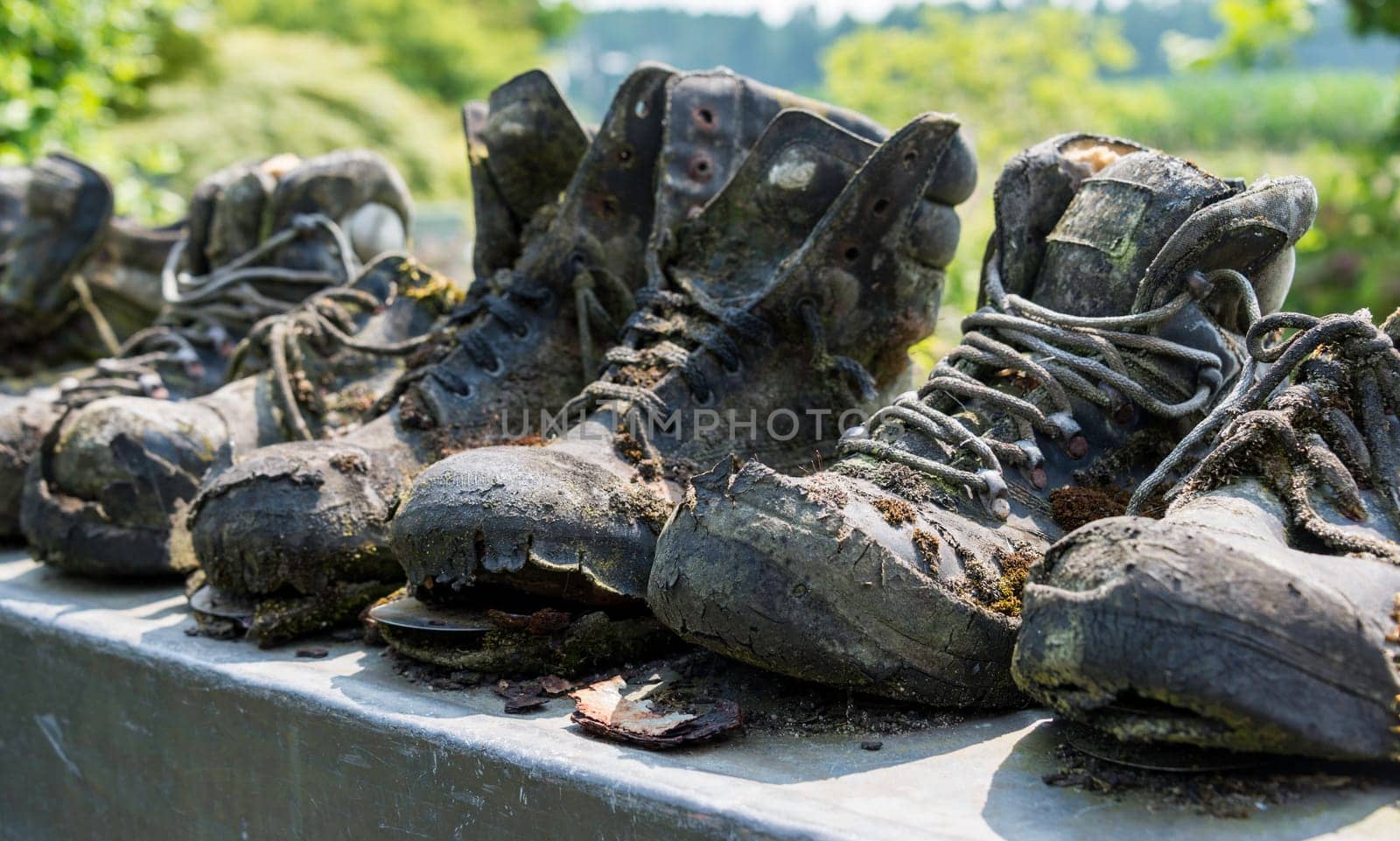 row of old leather worn out shoes in garden