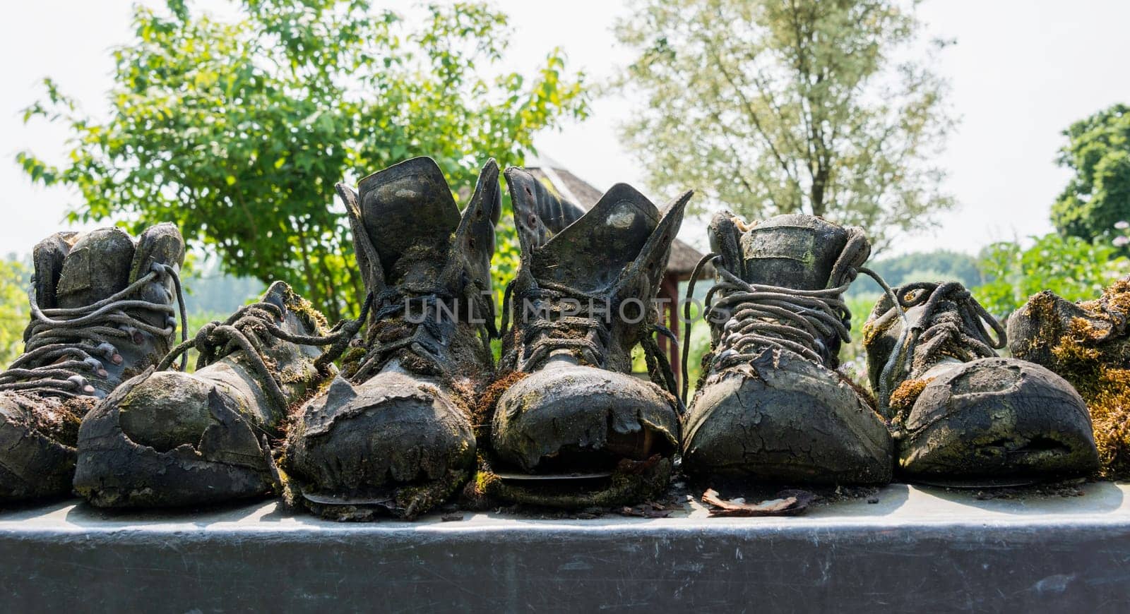 row of old leather worn out shoes in garden