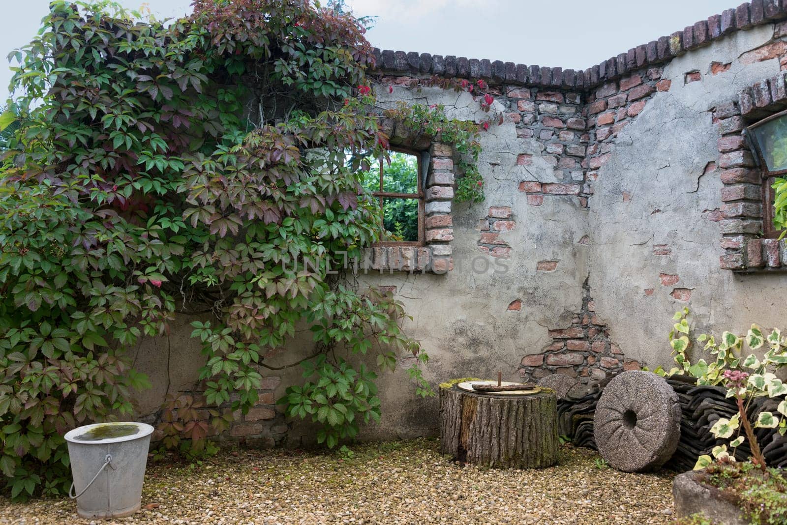 old wall in garden with vintage materials and plants and flowers