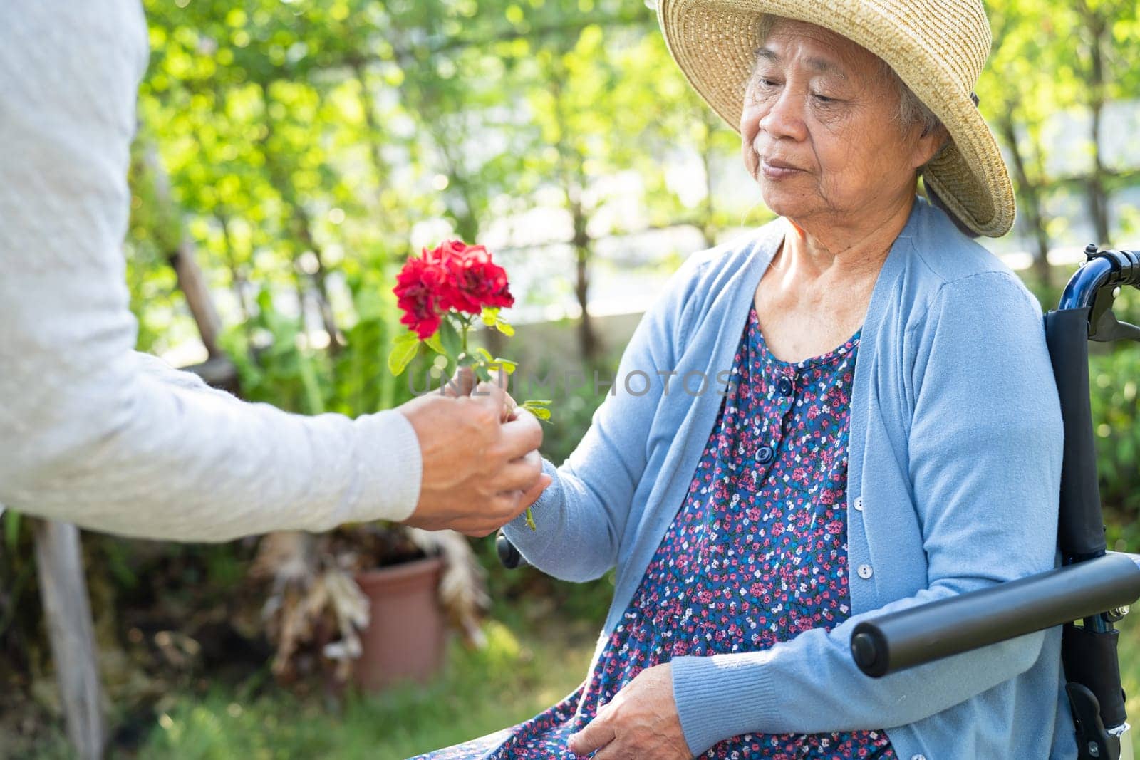 Asian senior or elderly old lady woman holding red rose flower, smile and happy in the sunny garden. by pamai