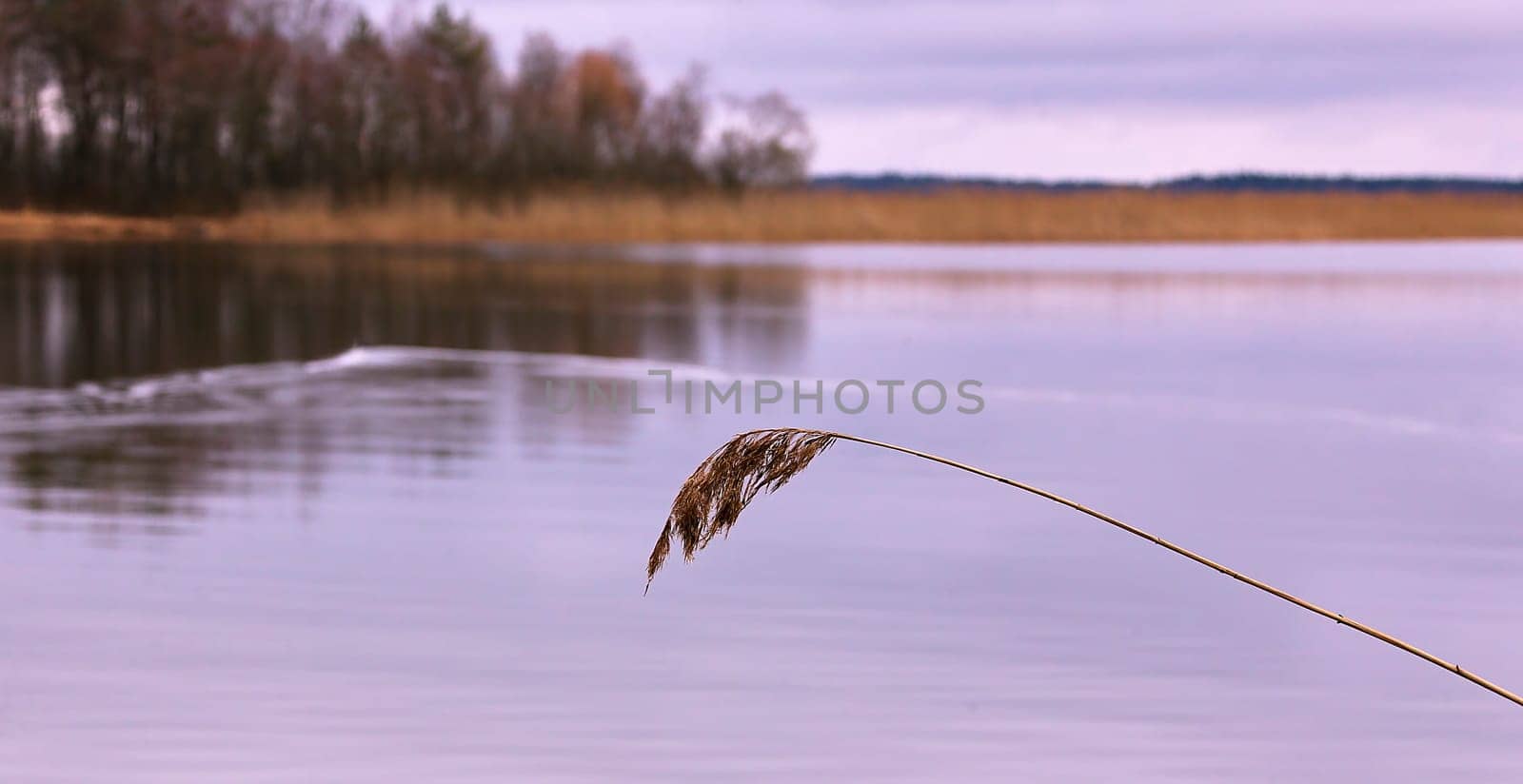 Cold day and first ice in late autumn. Autumn lake in the forest.
