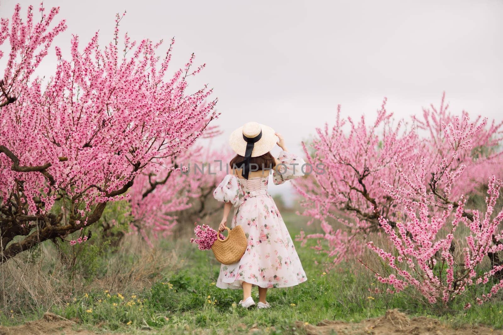 Woman blooming peach orchard. Against the backdrop of a picturesque peach orchard, a woman in a long dress and hat enjoys a peaceful walk in the park, surrounded by the beauty of nature. by Matiunina
