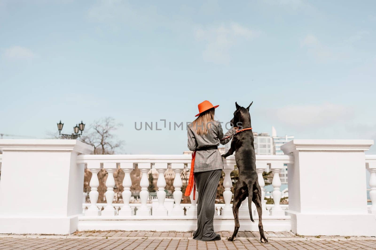 A photo of a woman and her Great Dane walking through a town, taking in the sights and sounds of the urban environment.