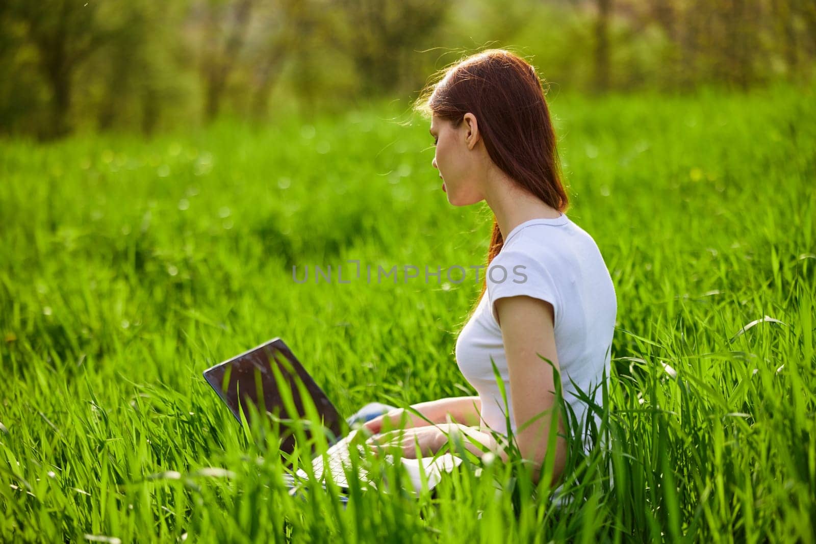 Woman with laptop working in park. High quality photo