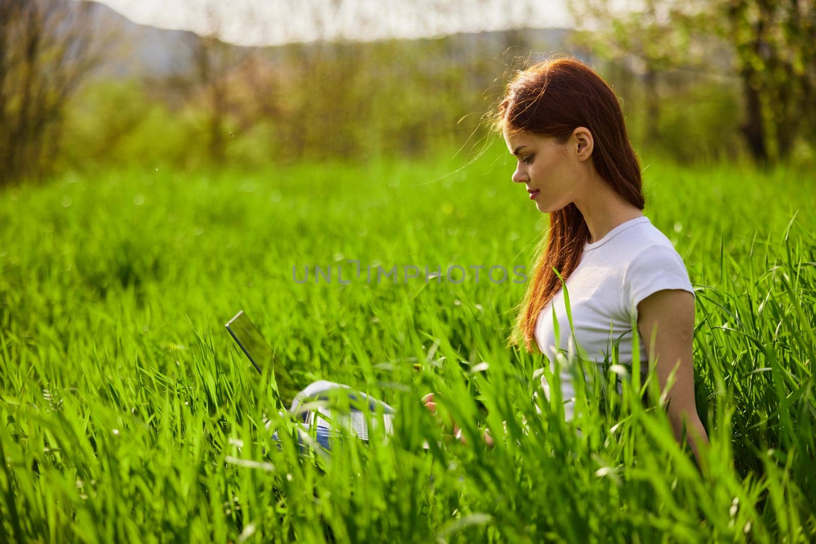 woman on the meadow relaxing and using a laptop. High quality photo
