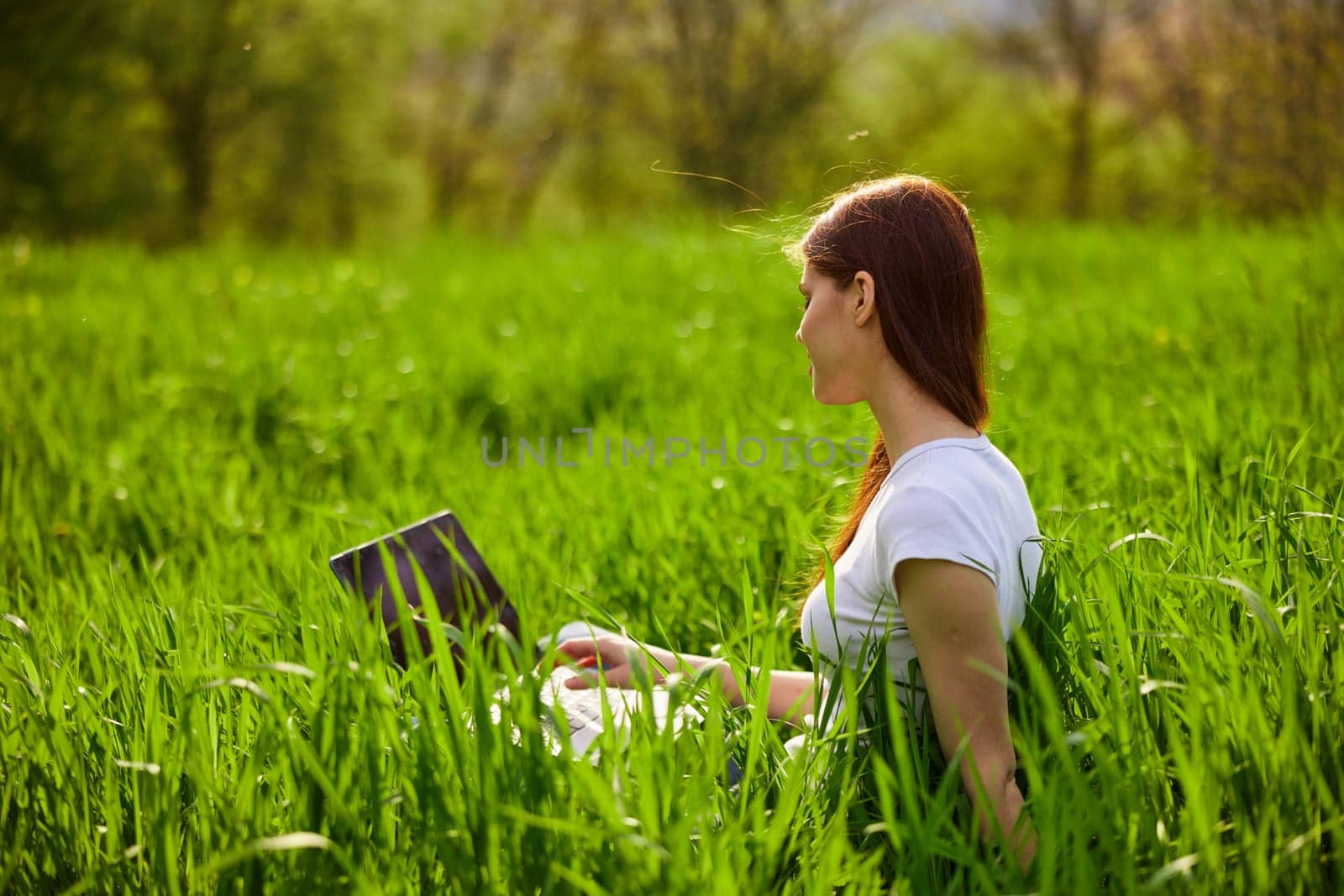 Woman with laptop working in park. High quality photo