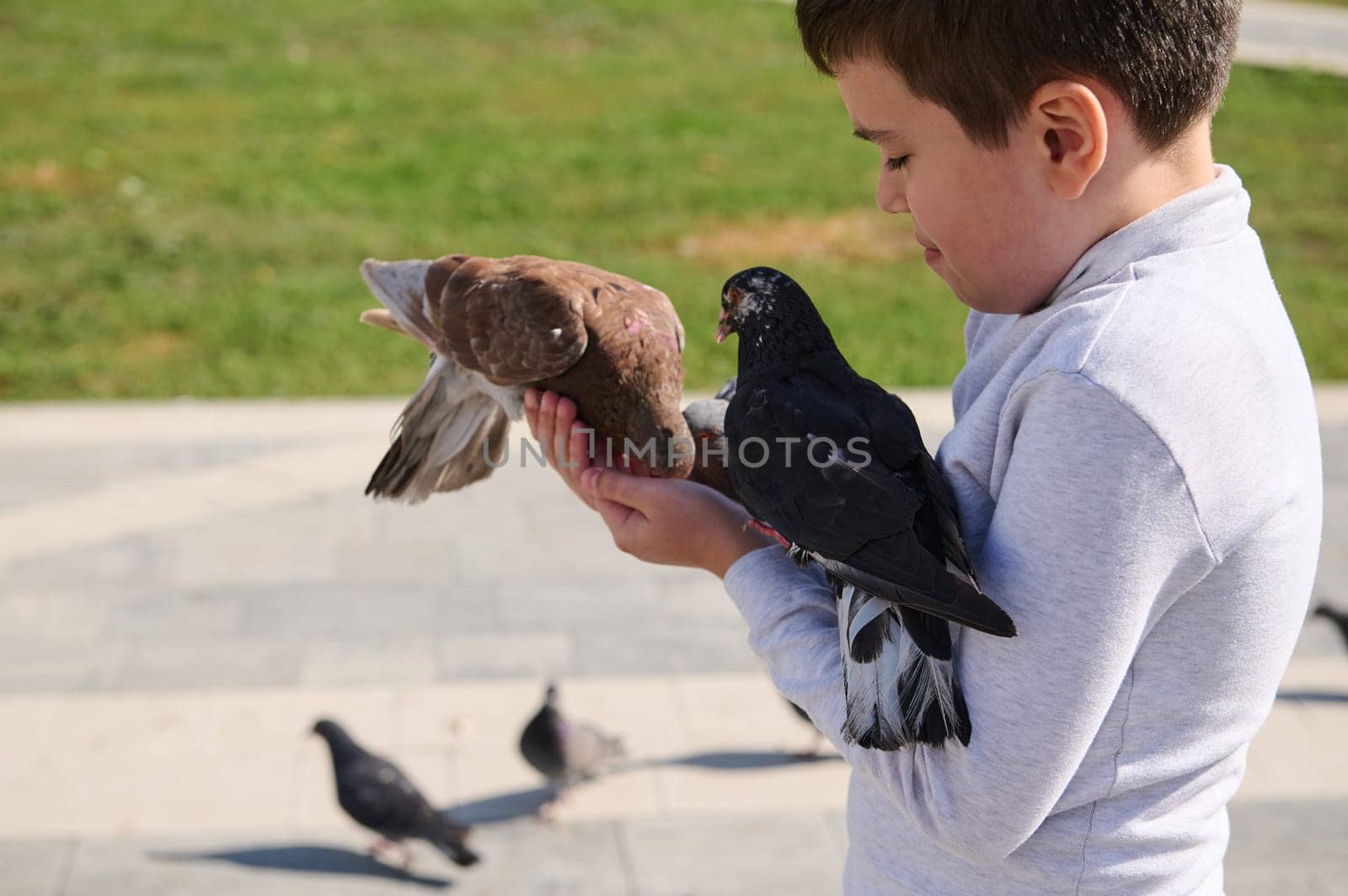 Side portrait of adorable child boy feeding doves sitting on his hands in the square on a sunny day in urban square by artgf