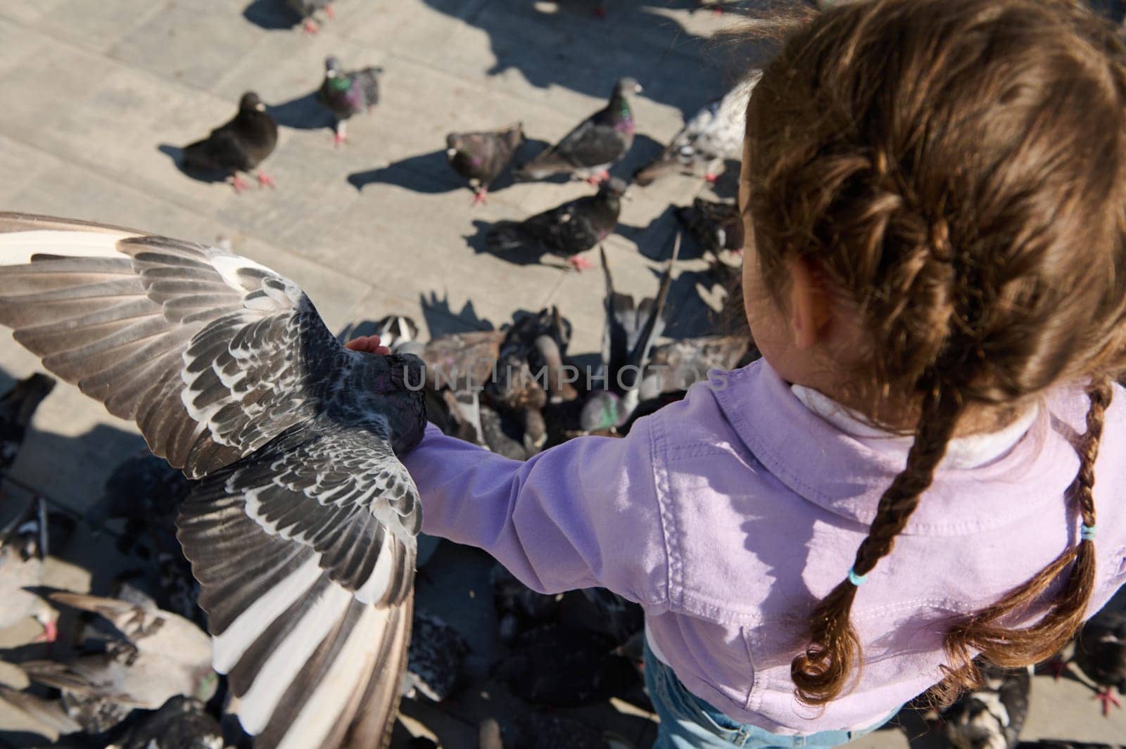 Overhead view of little kid girl with two pigtails, wearing purple denim clothes, standing in city square and feeding flock of flying pigeons. Happy carefree childhood and care for animals concept