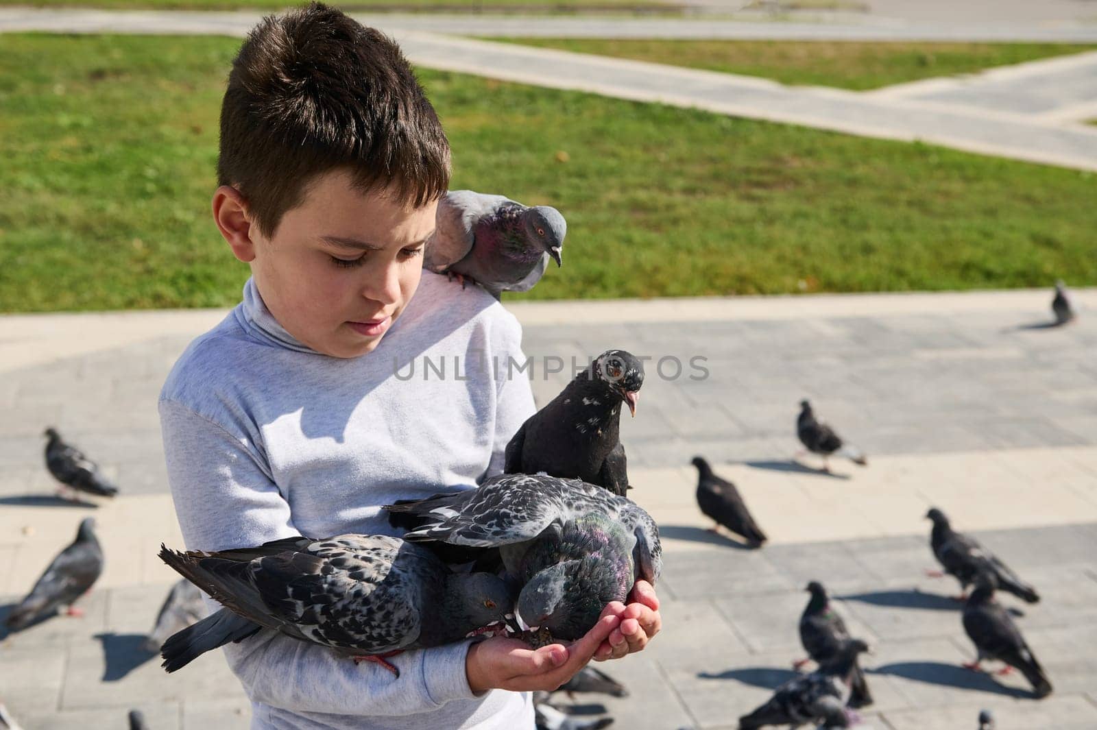 Adorable multi ethnic boy 10 years old, feeding pigeons in the city square on a sunny day. Love and care for animals. People and nature concept