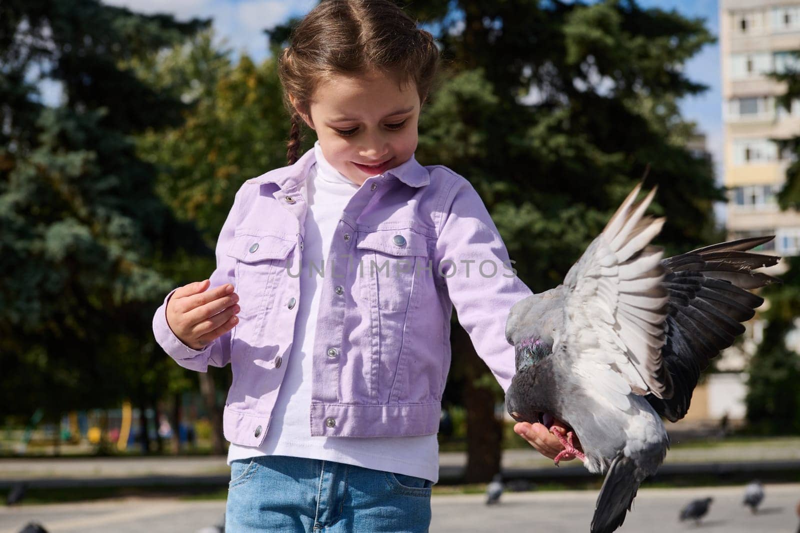 Adorable Caucasian little girl 5 years old, feeding dove sitting on her hand in the square on sunny day in urban square. by artgf