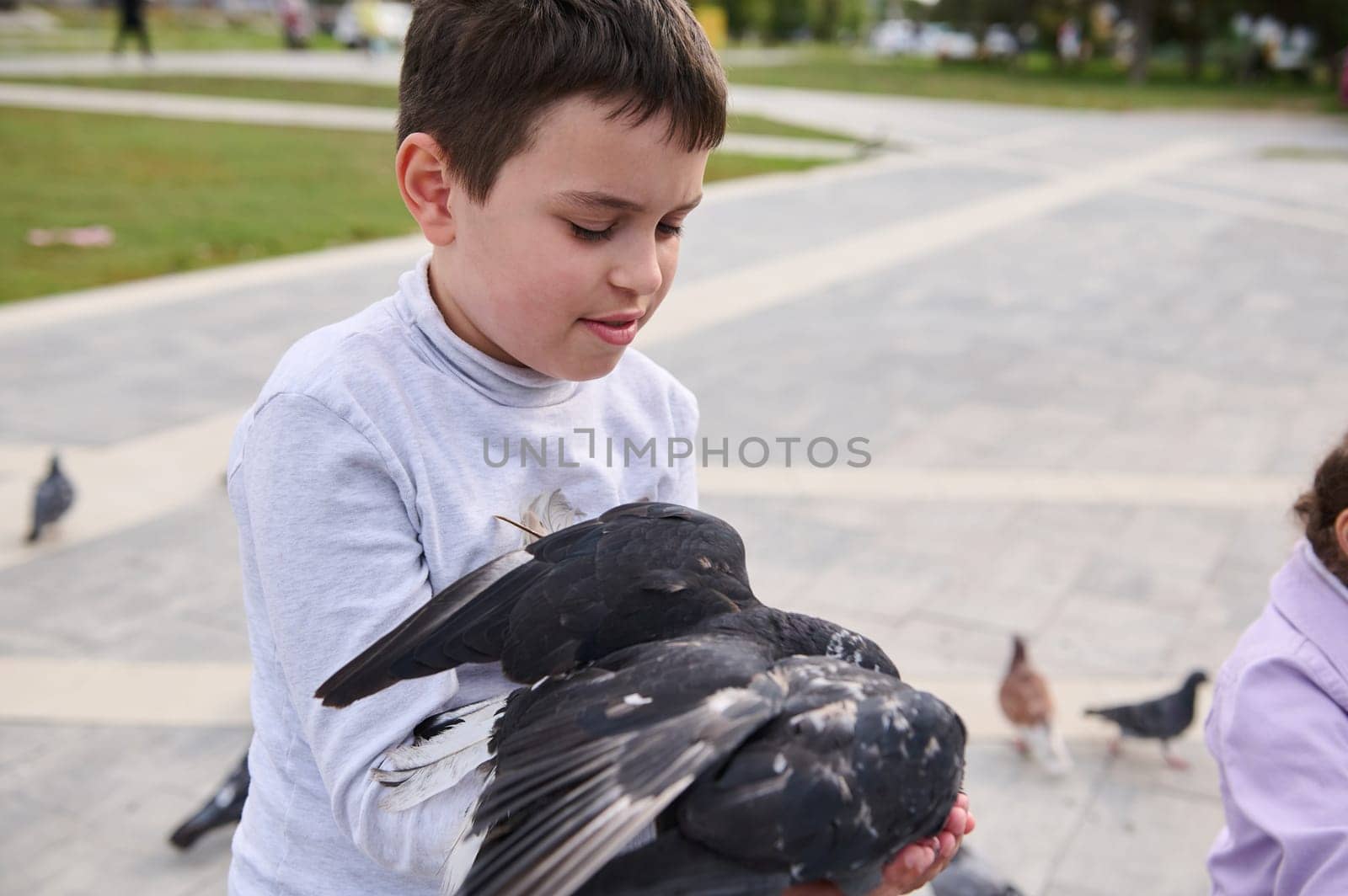 Adorable schoolboy feeding feral pigeons in the park. The concept of care, kindness and love for wild animals by artgf
