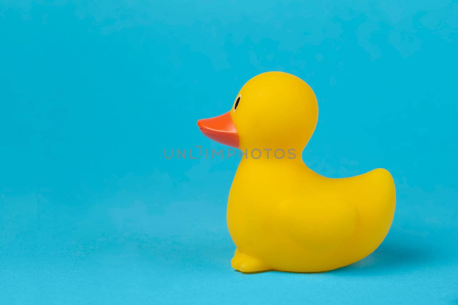 Side view of a yellow rubber duck on a blue background.