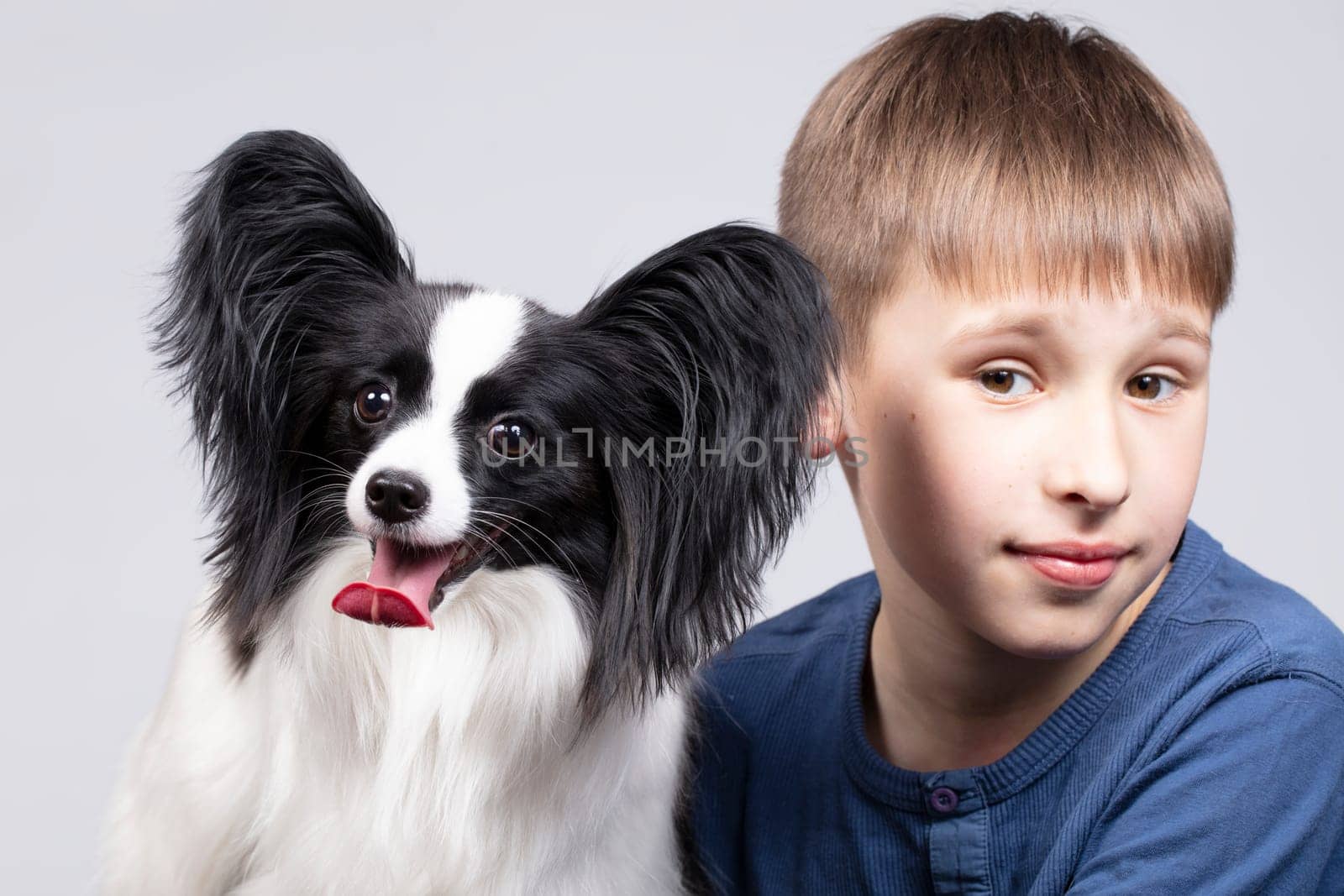 Little boy with a papillon dog. Pet with owner. Child with a funny puppy.