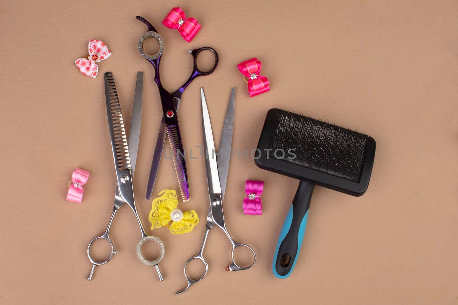 Tool for the groomer on a beige background. Dog grooming accessories. Combs and brushes for animals. View from above
