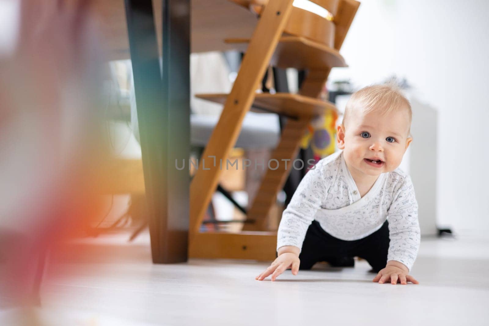 Cute infant baby boy crawling under dining room table at home. Baby playing at home by kasto