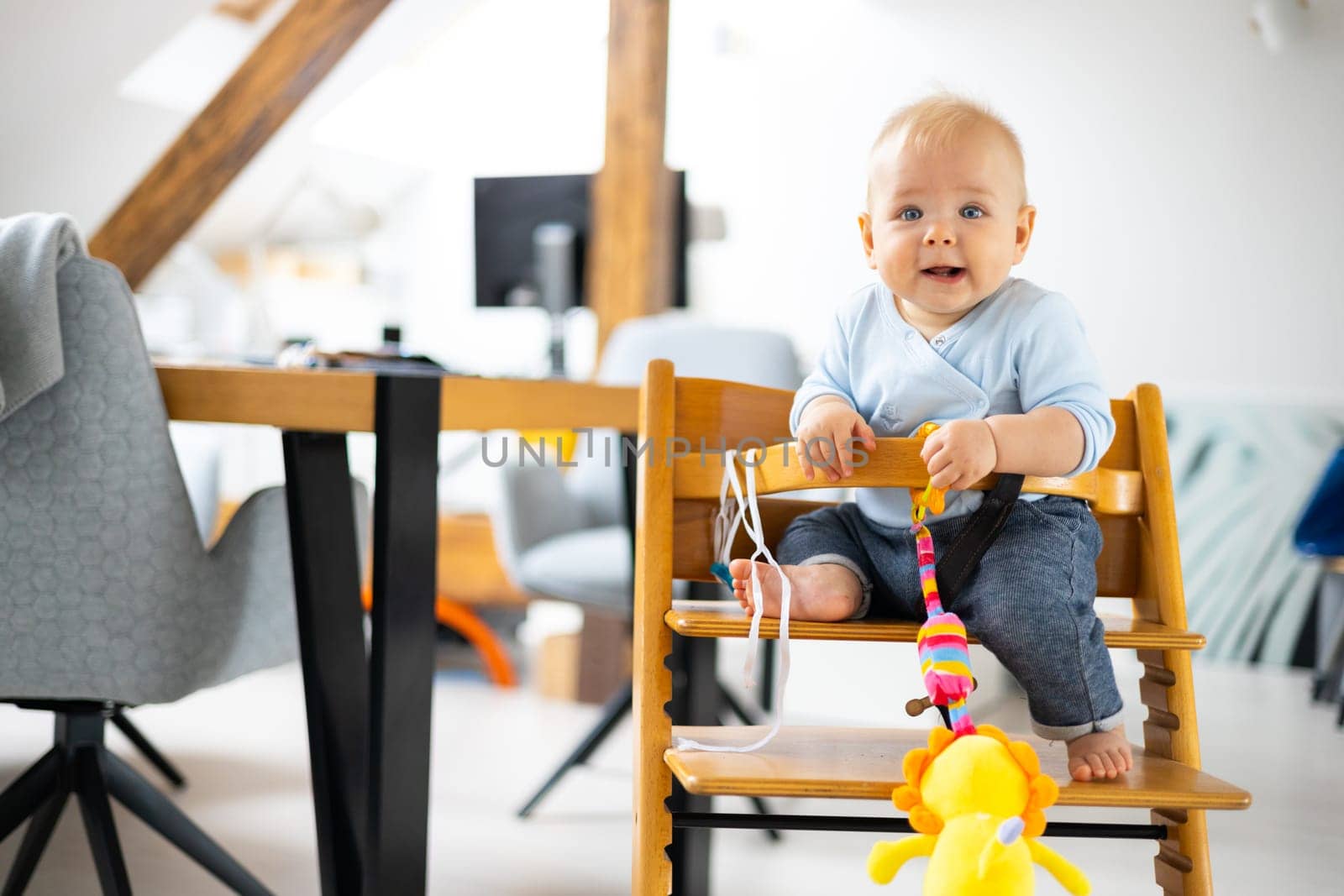 Happy infant sitting and playing with his toy in traditional scandinavian designer wooden high chair in modern bright atic home. Cute baby. by kasto